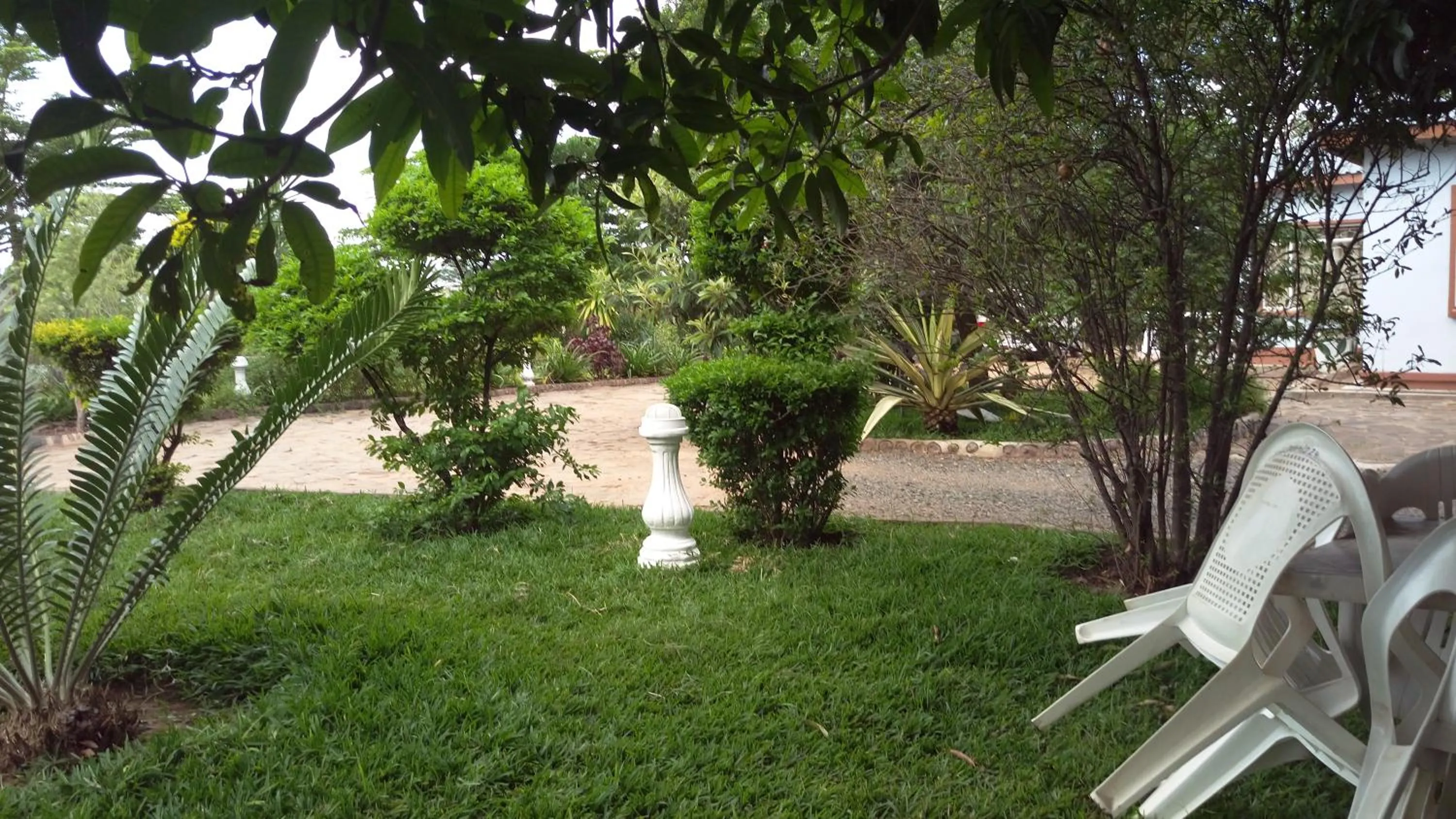 Garden in White Rose Lodge