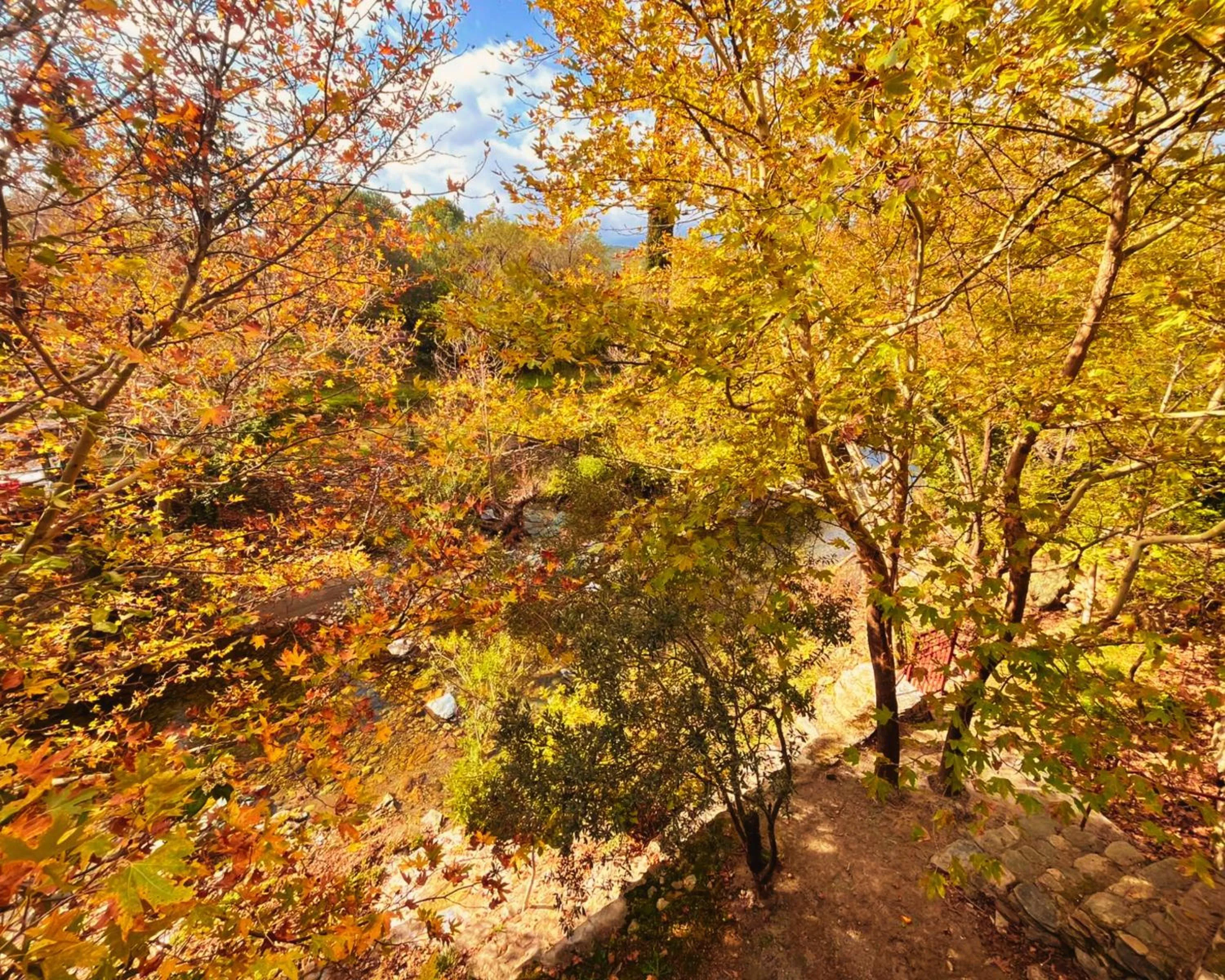 Spring in Kybele Nature Life
