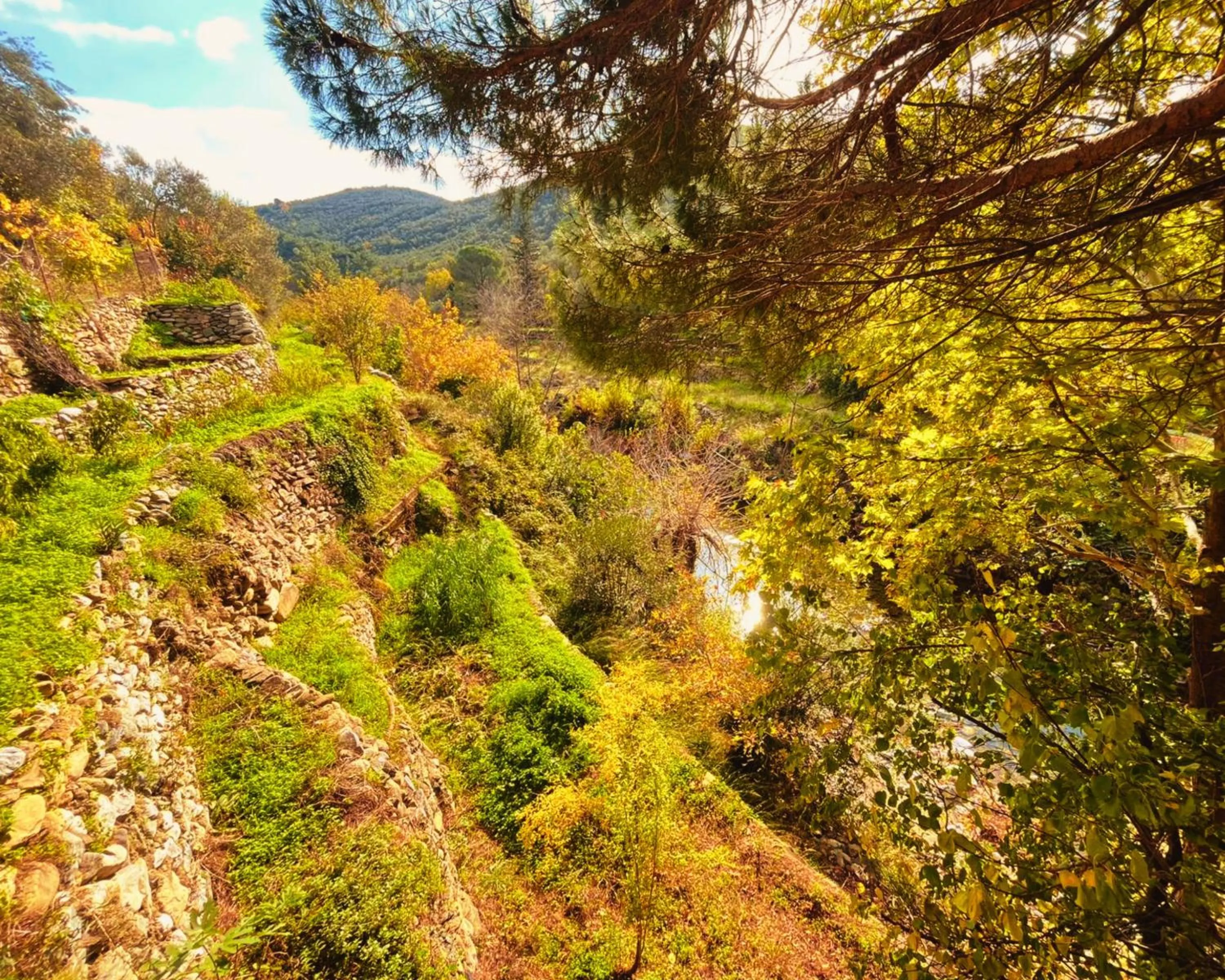 Nearby landmark in Kybele Nature Life