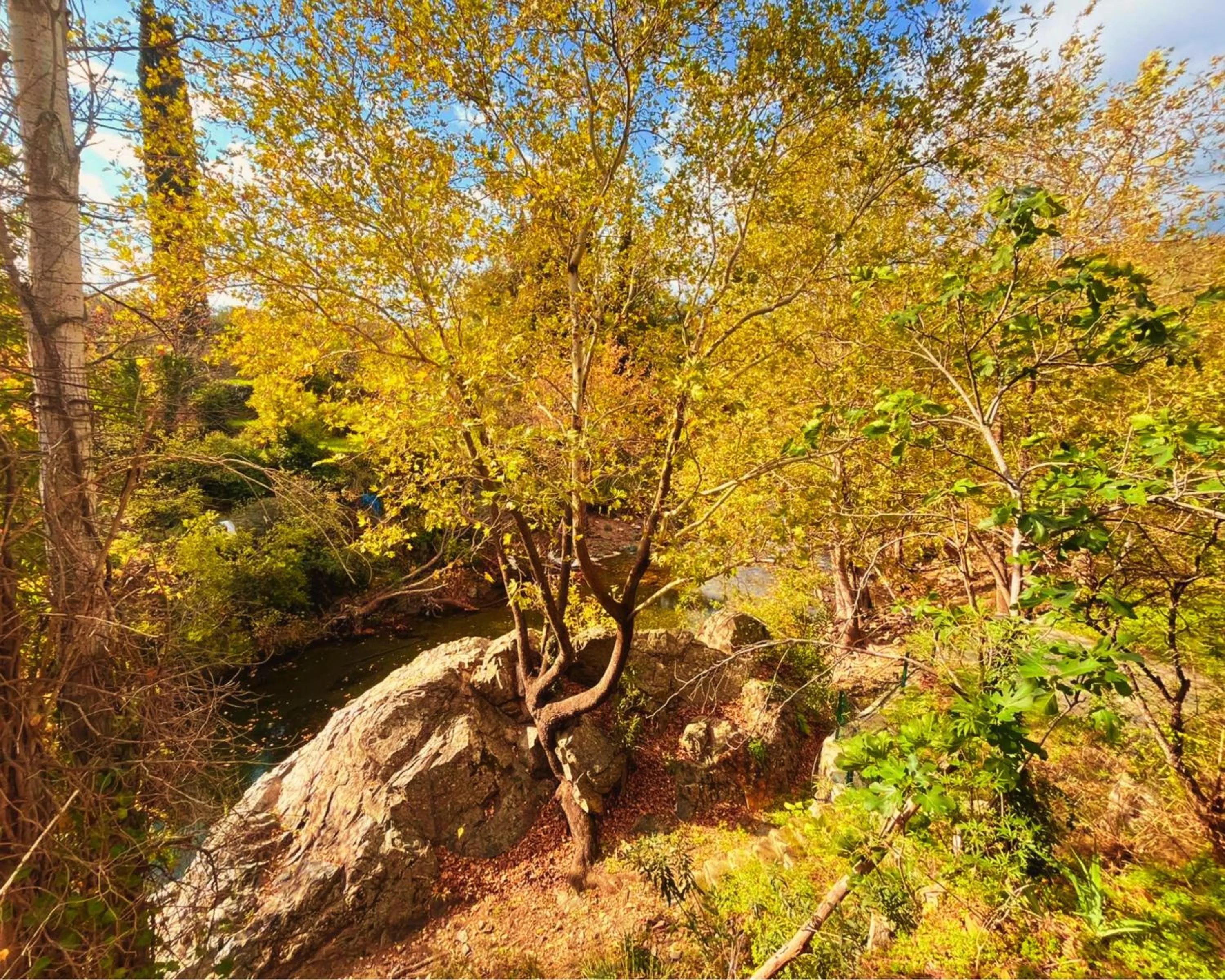 Spring in Kybele Nature Life