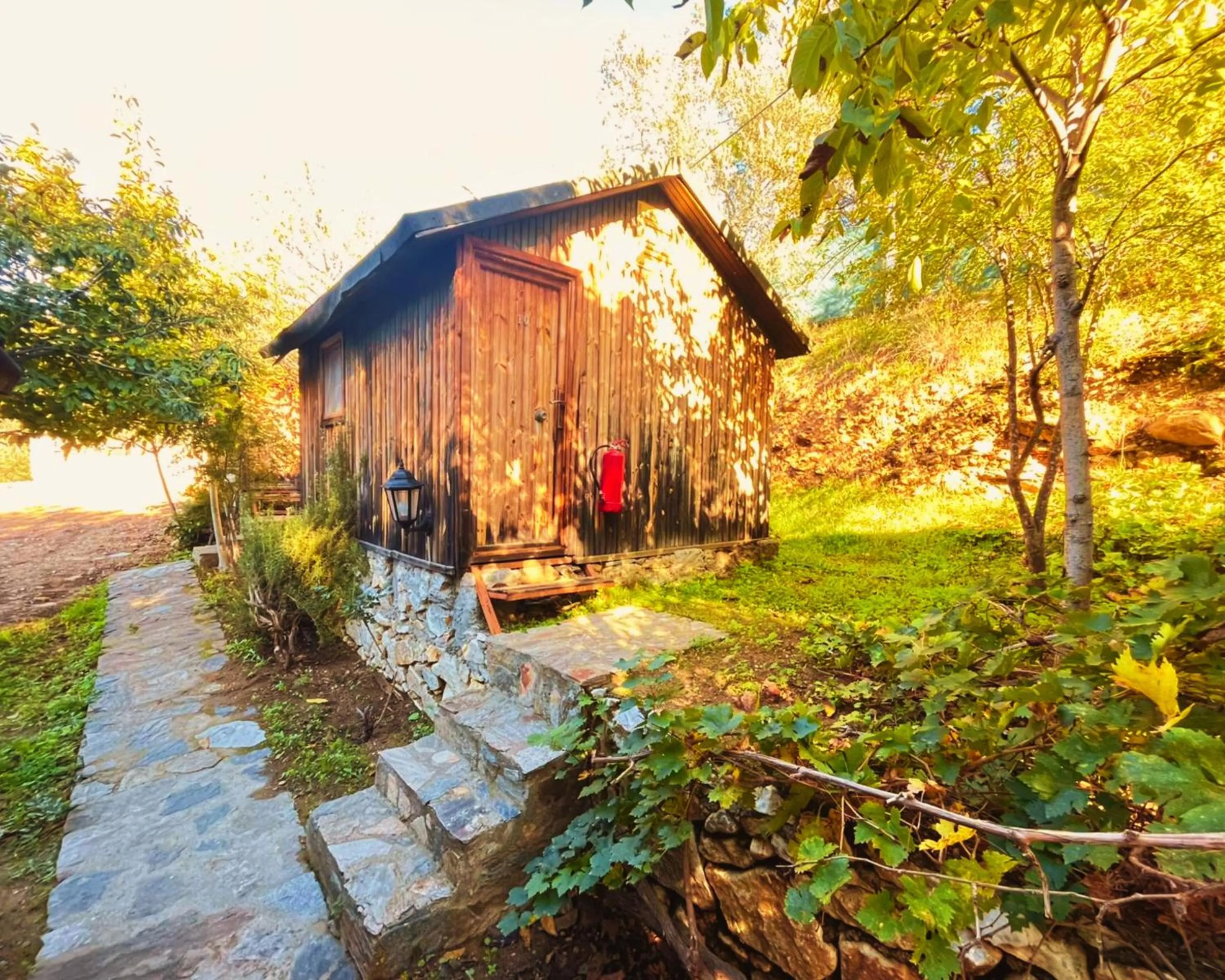 Property building in Kybele Nature Life