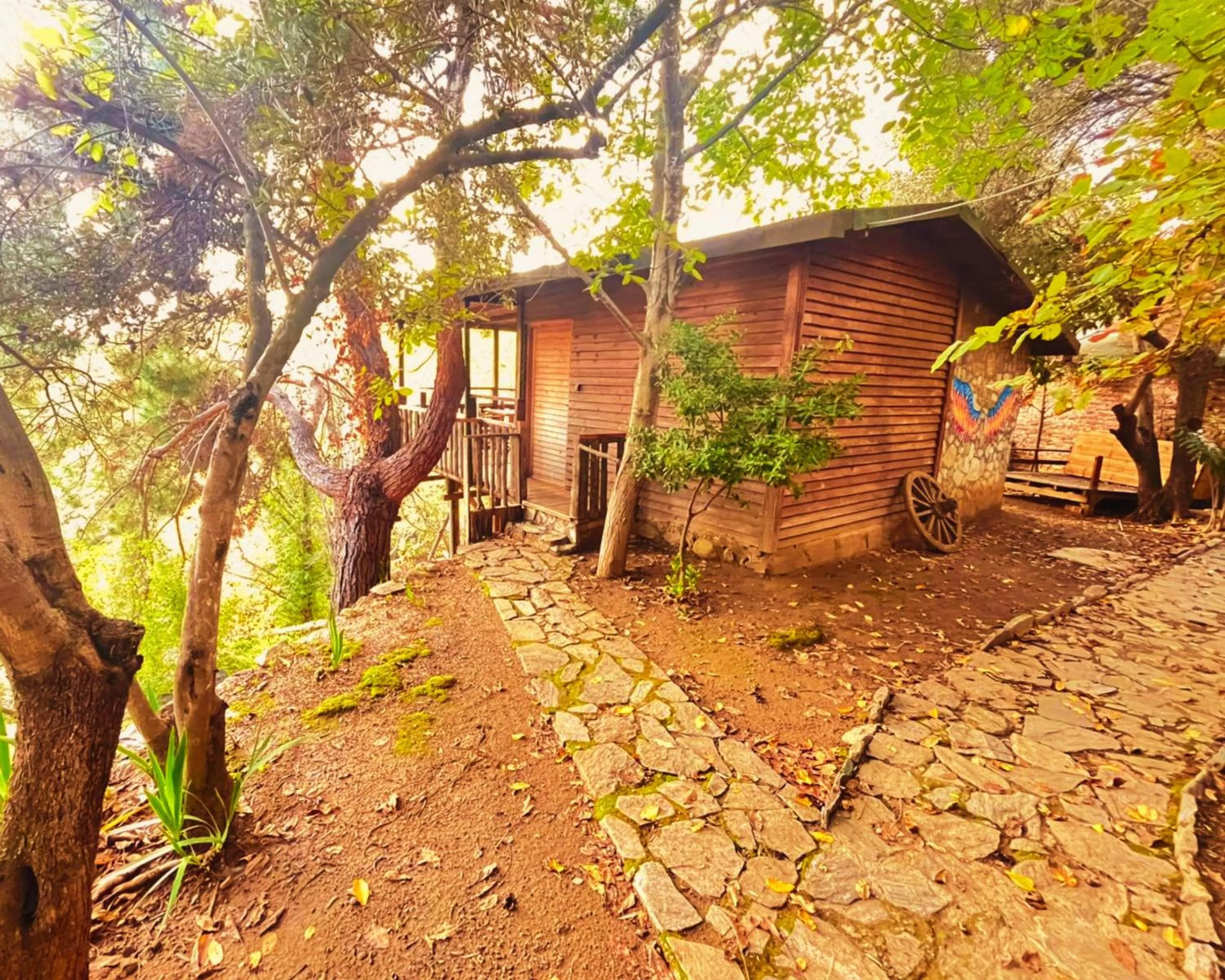 Property building in Kybele Nature Life