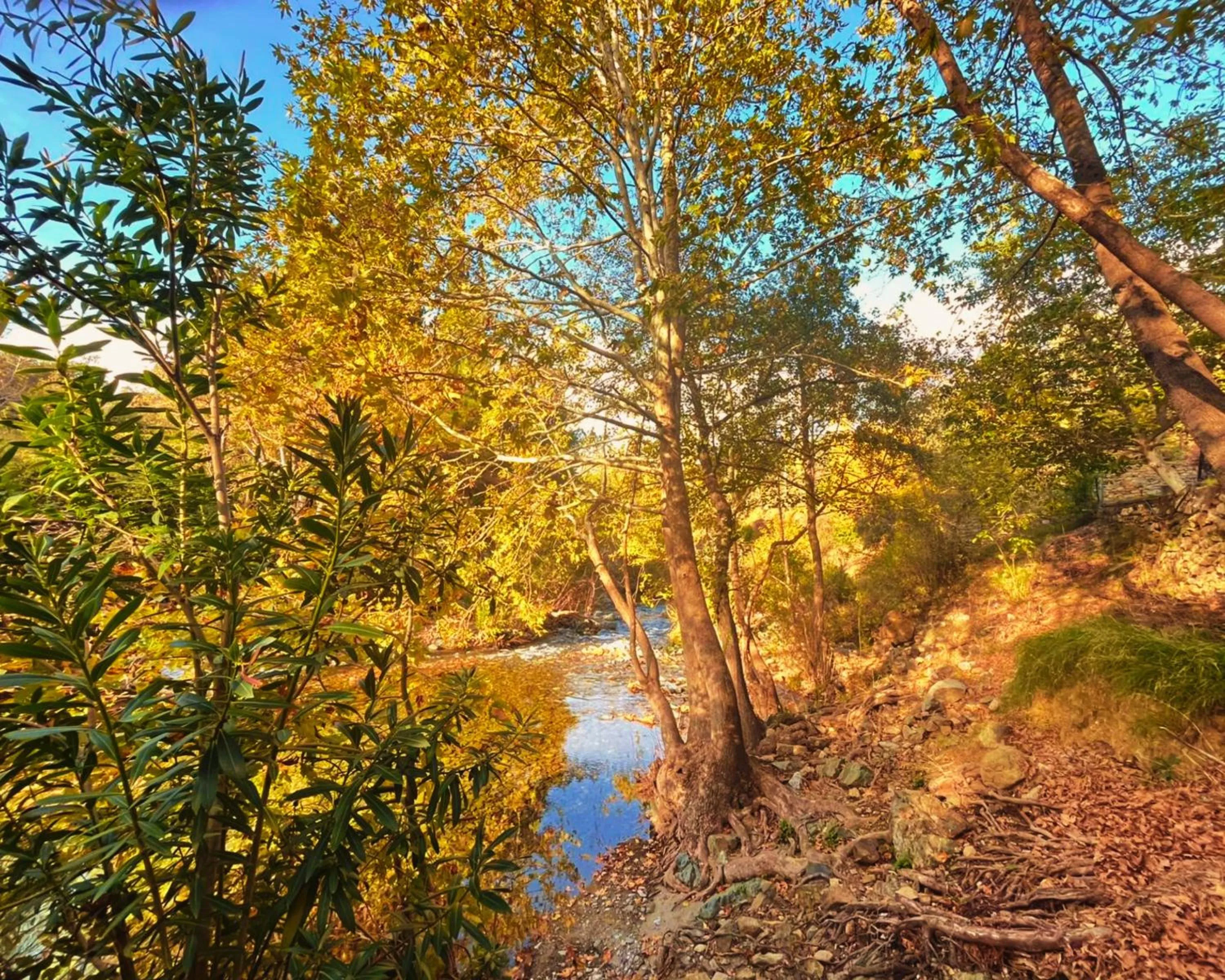 Spring in Kybele Nature Life