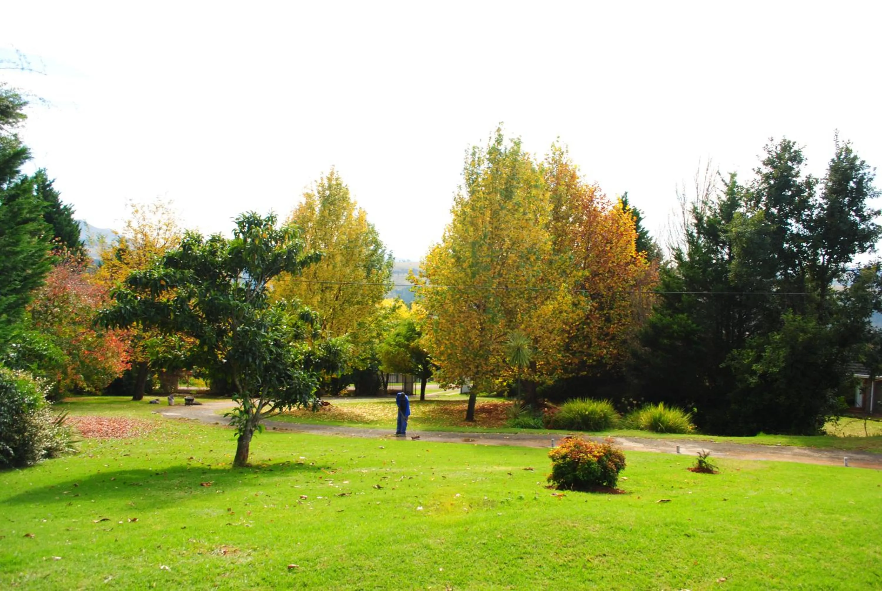 Garden in Maclear Manor