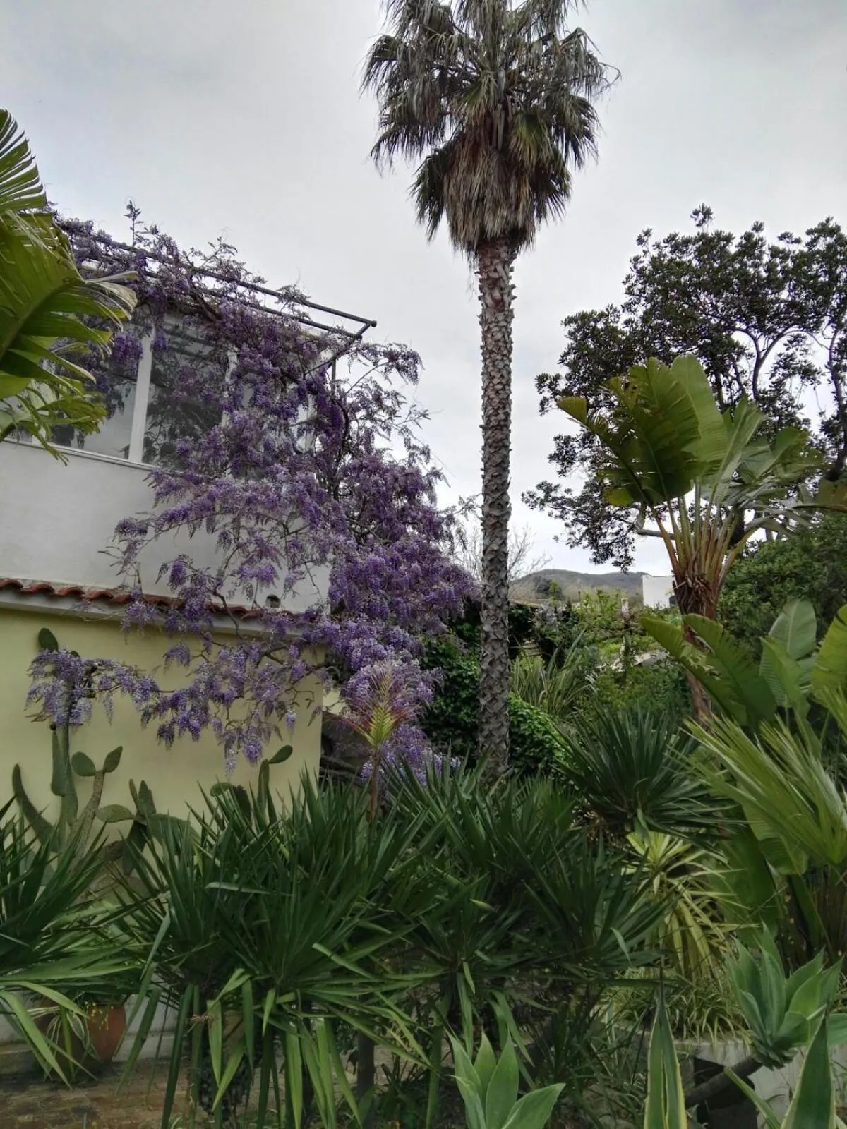 Garden in B&B La Salamandra Kitchengarden