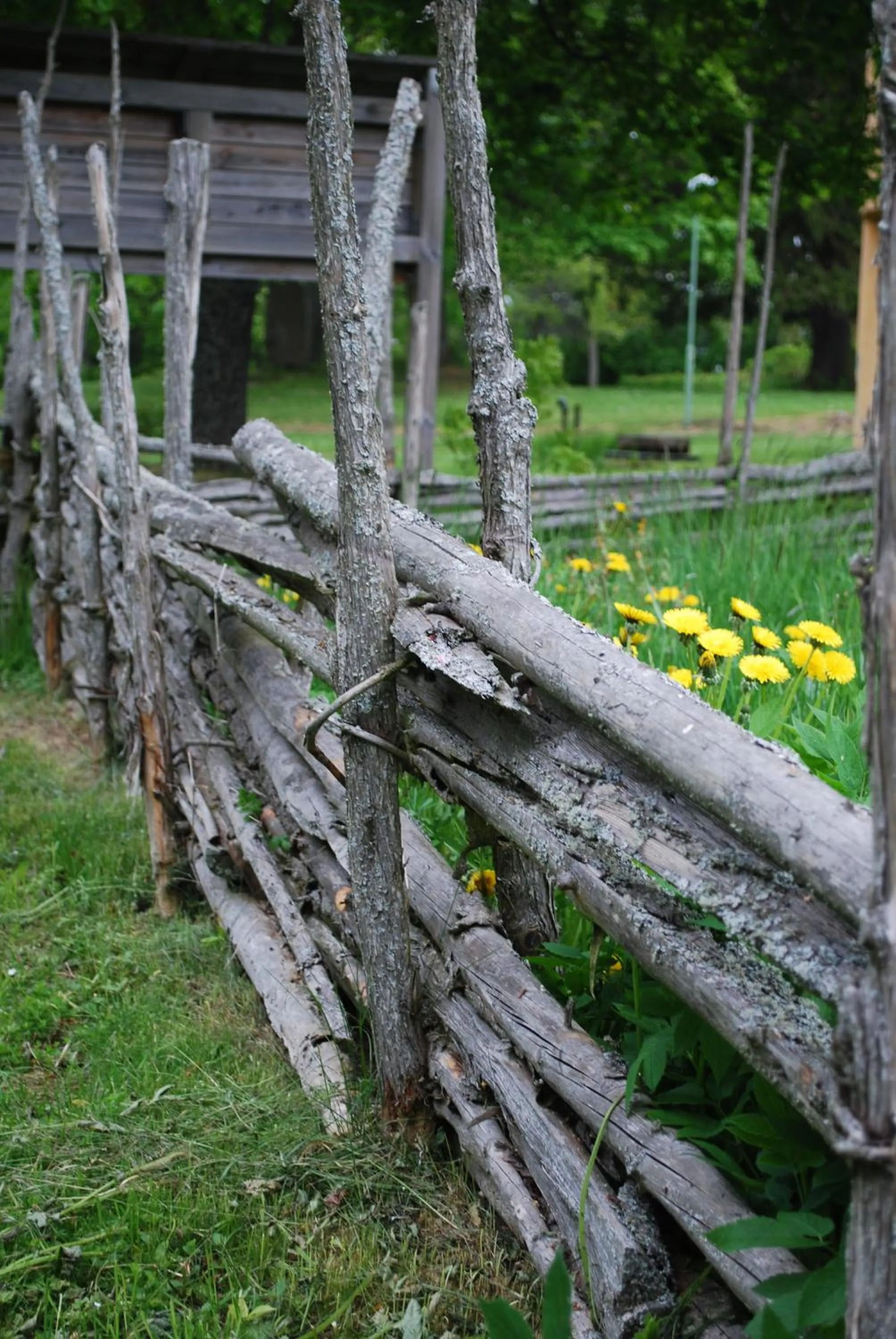 Garden in Valla Folkhögskola