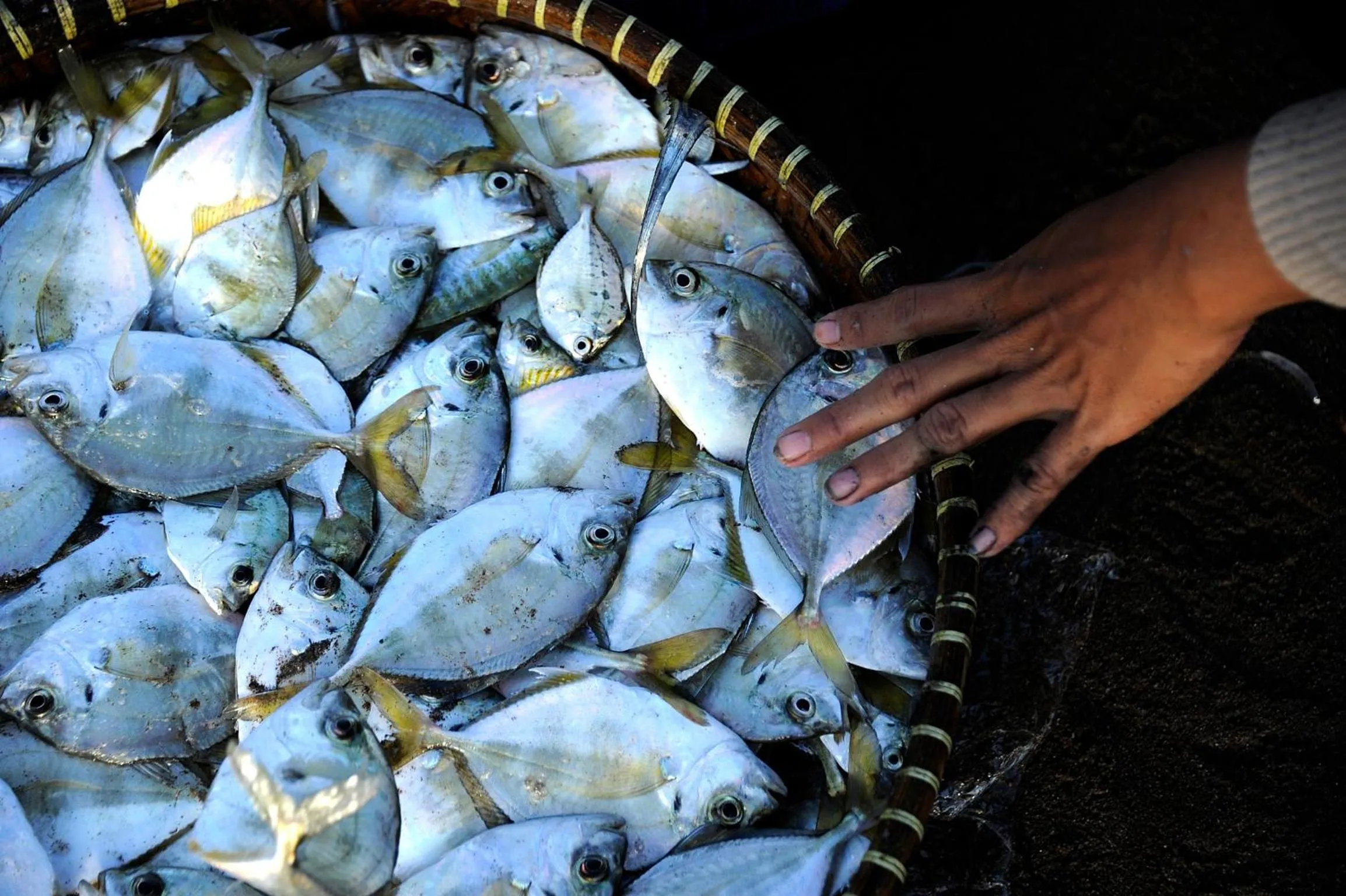 Beach in Surya Kencana Seaside Hotel