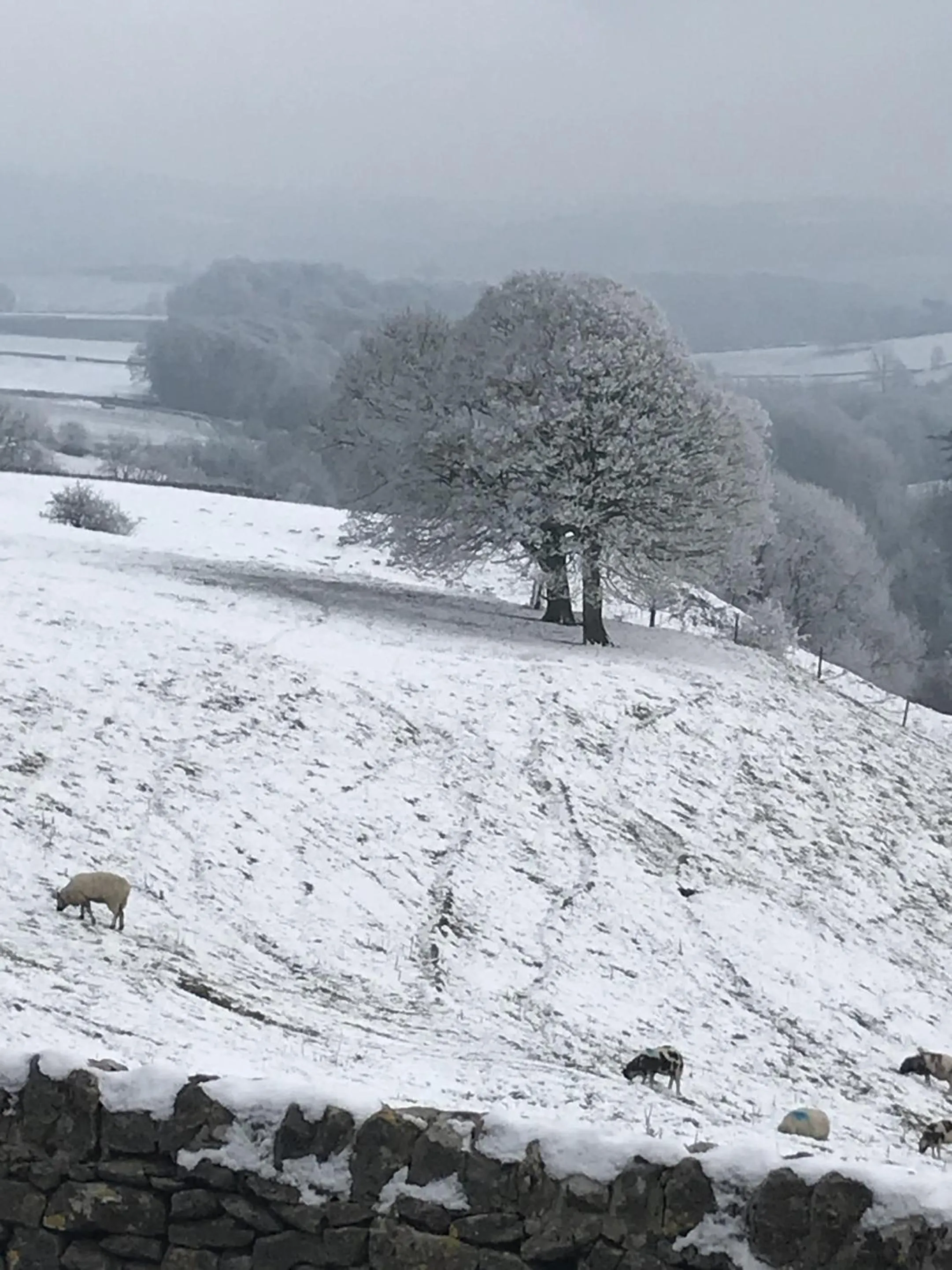 View (from property/room) in Lathkil Hotel