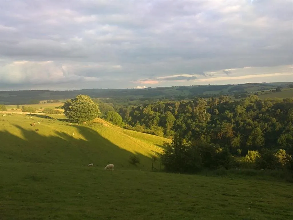 View (from property/room) in Lathkil Hotel