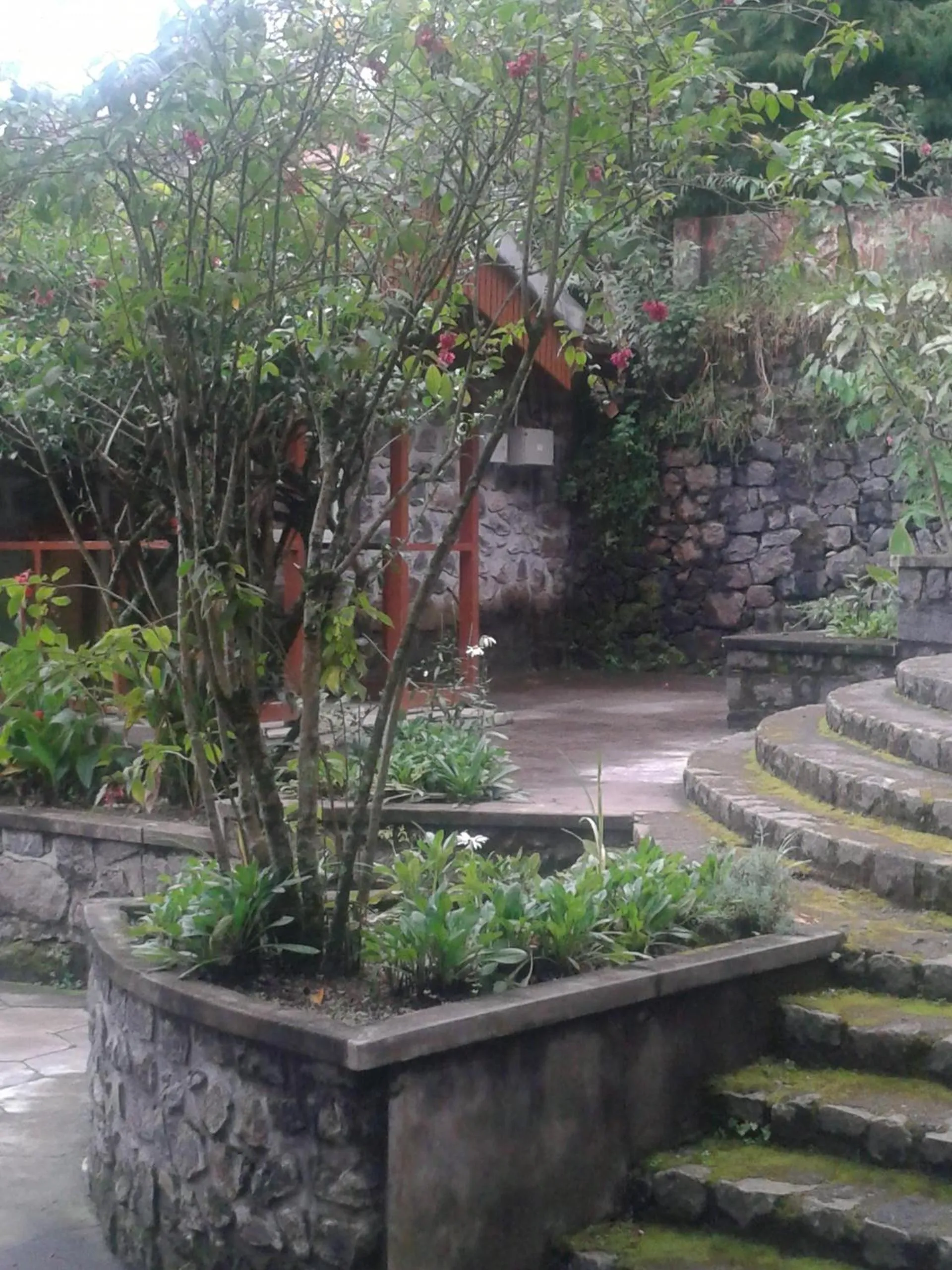 Other in Lilly's Valley Resort