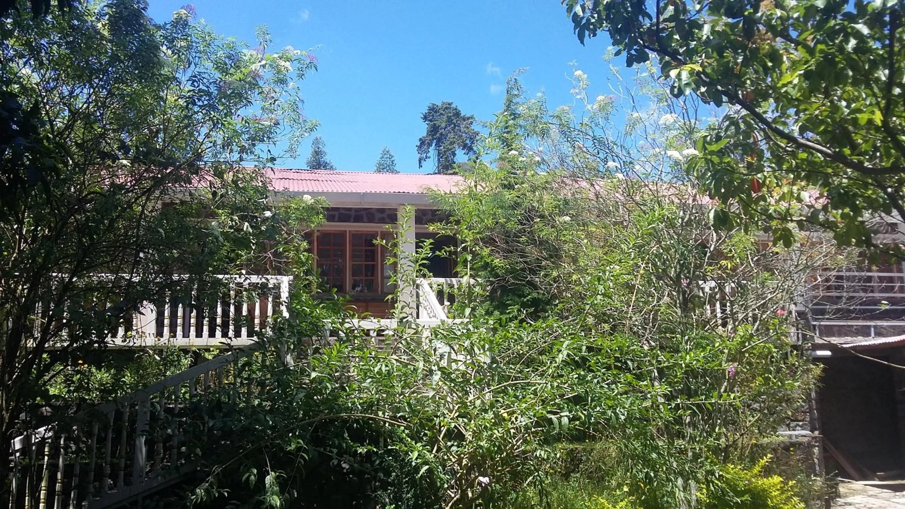 Property building in Lilly's Valley Resort