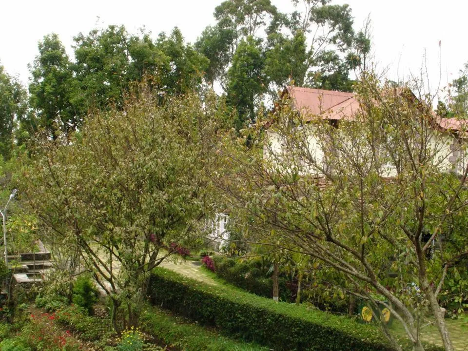 Day in Lilly's Valley Resort