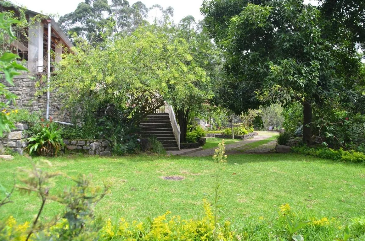 Lilly's Valley Resort