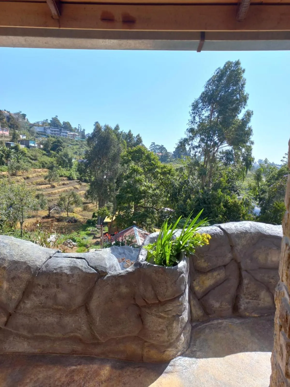 Lilly's Valley Resort