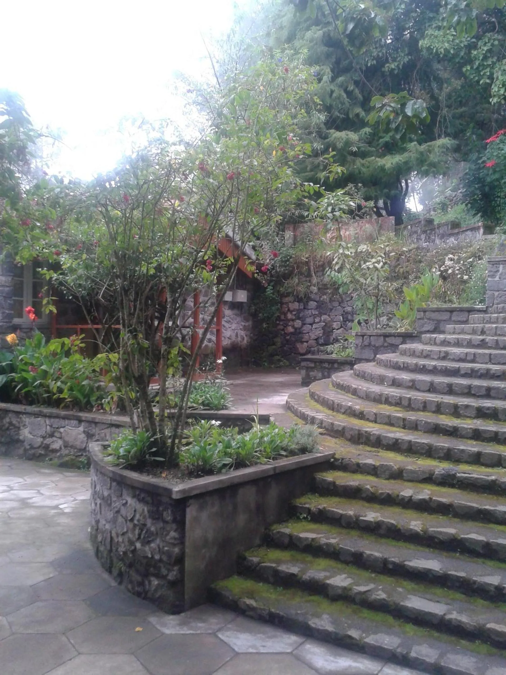 Day in Lilly's Valley Resort