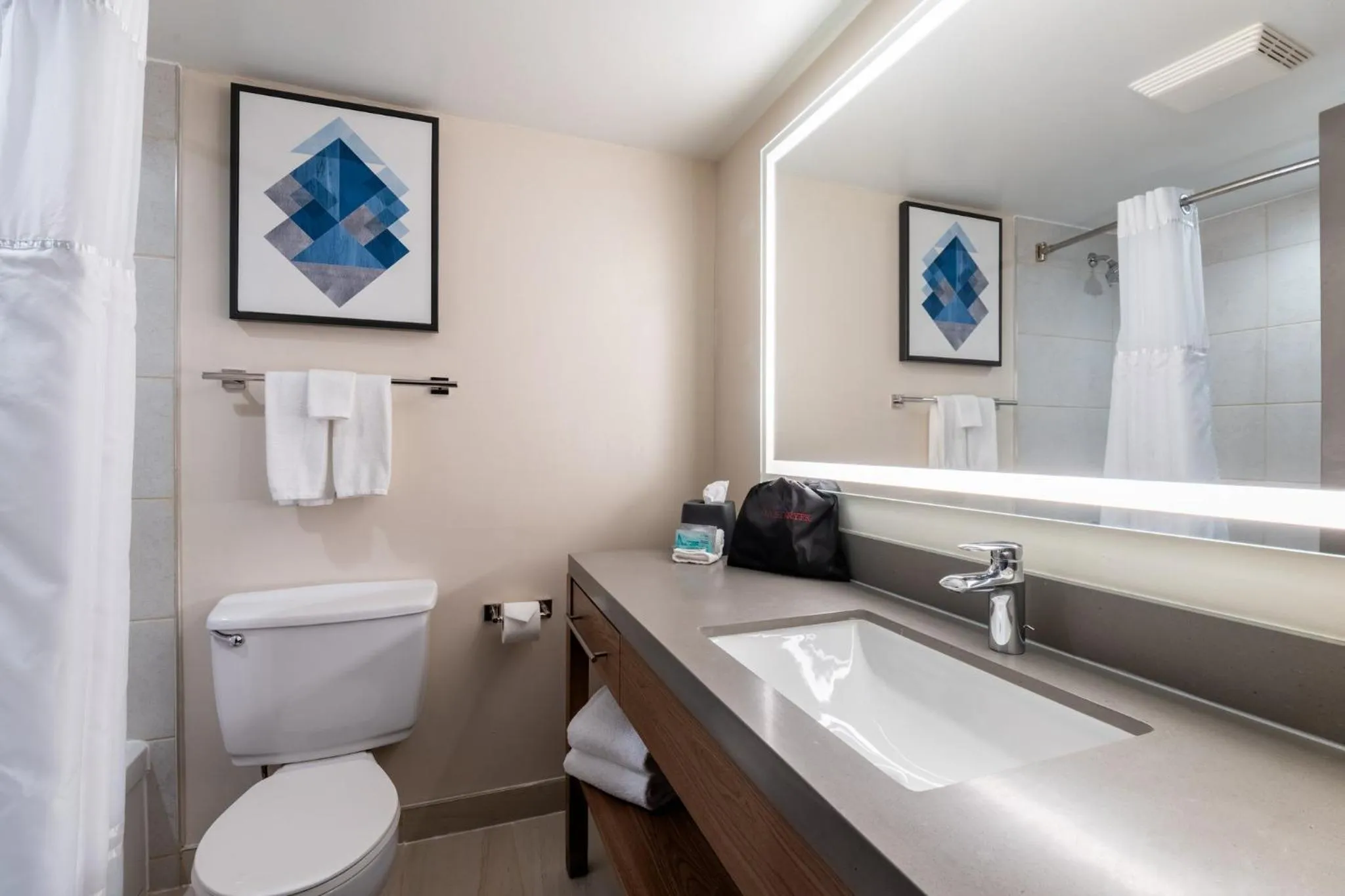 Bathroom in Candlewood Suites London South by IHG