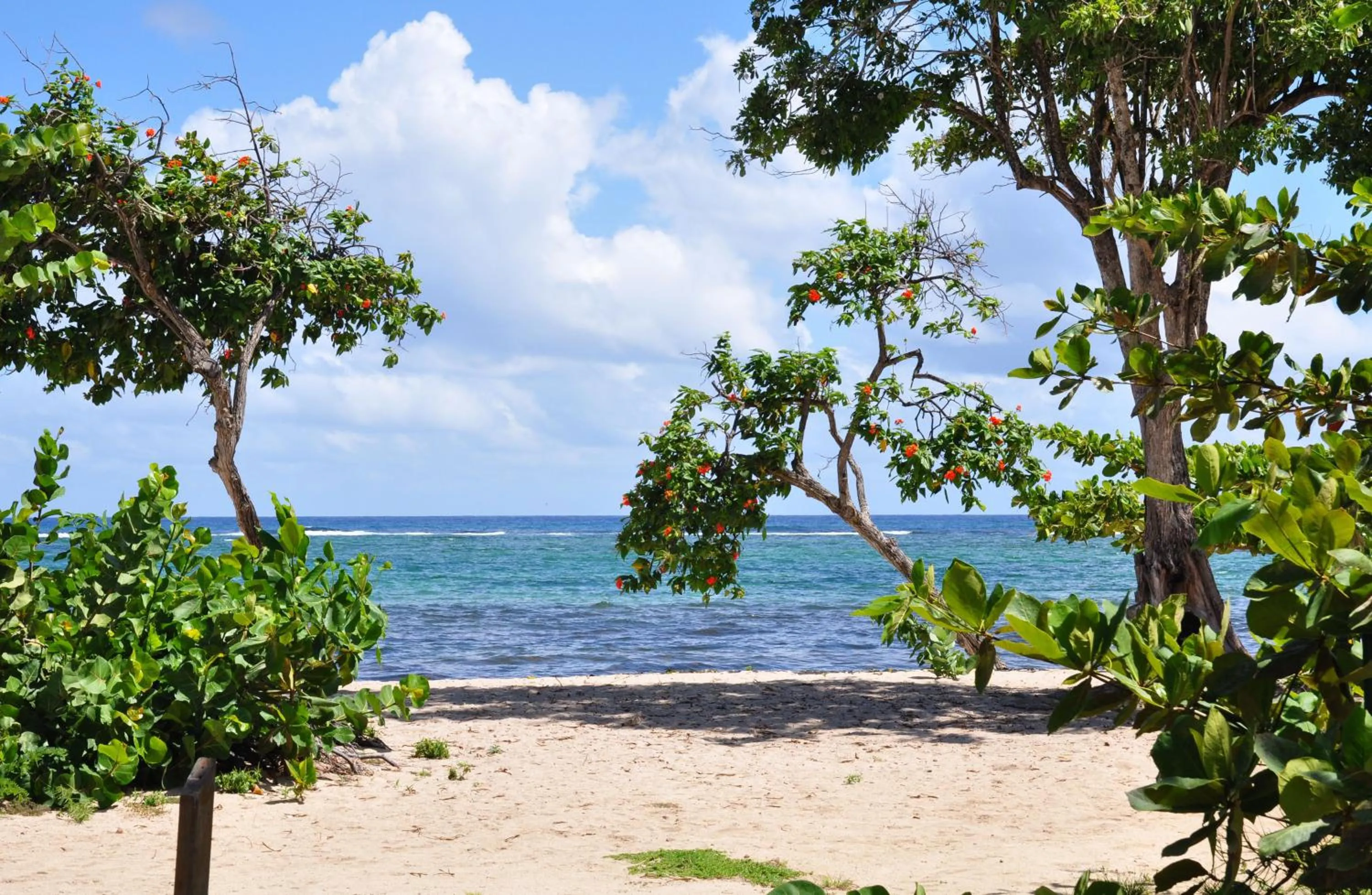 Beach in Résidence Tropicale