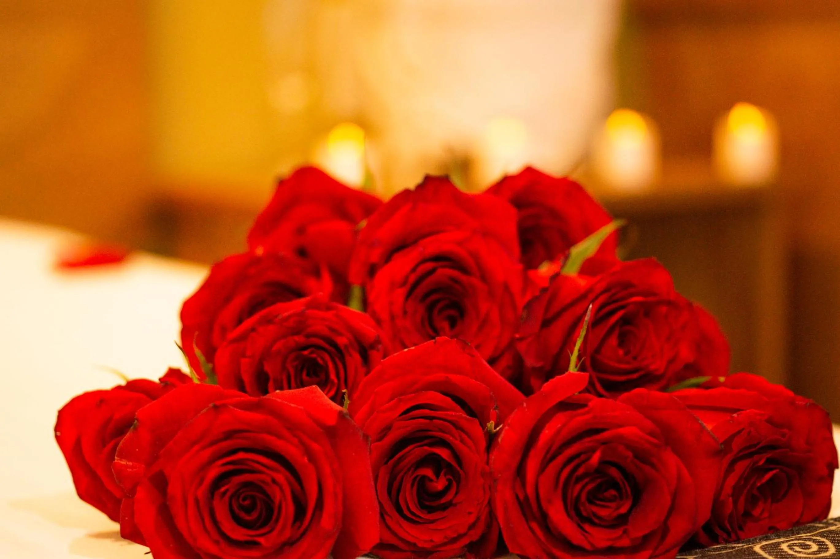 Other, Bed in AM Hotel y Plaza