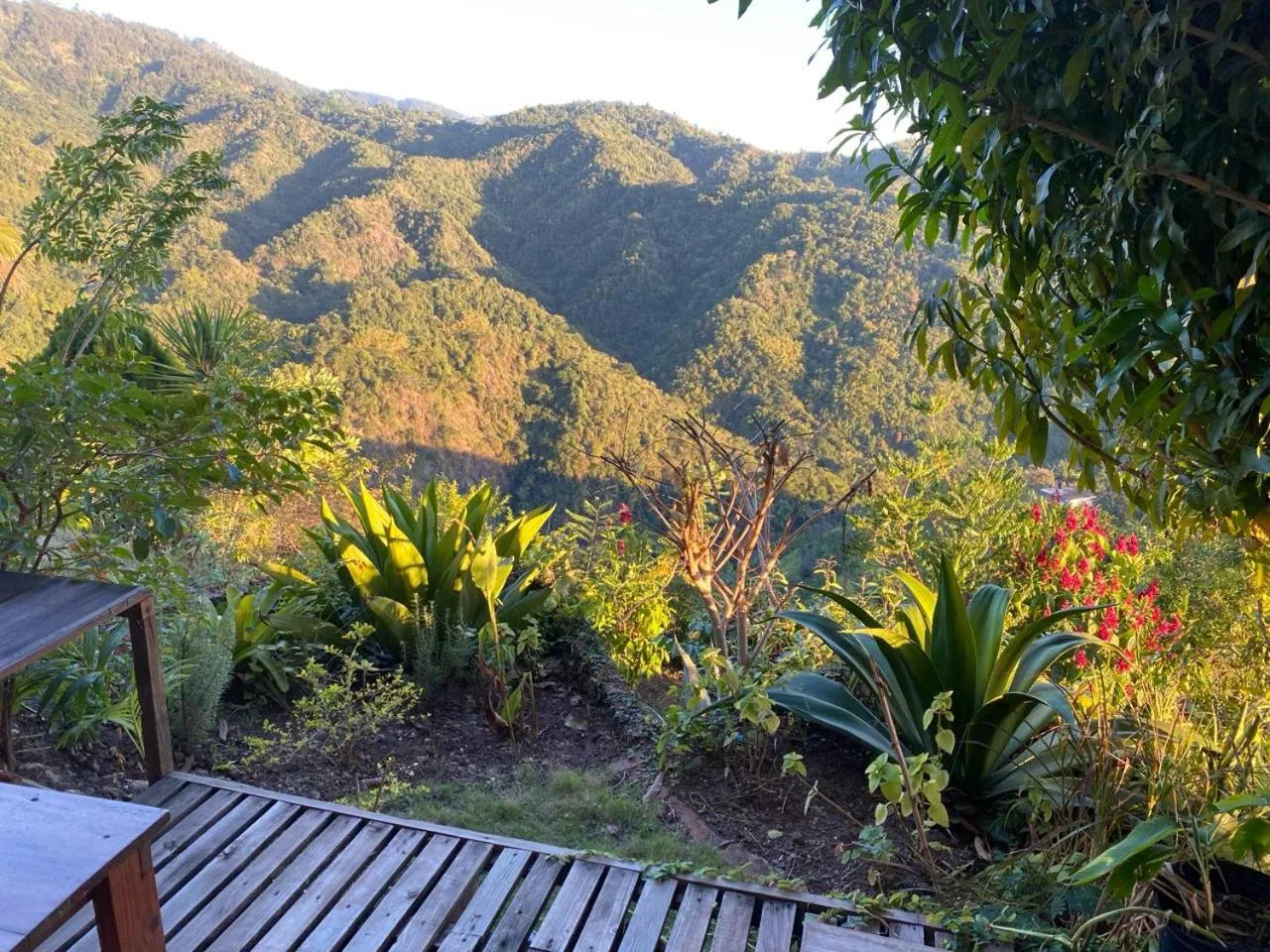 Spring in Tranquility Estate