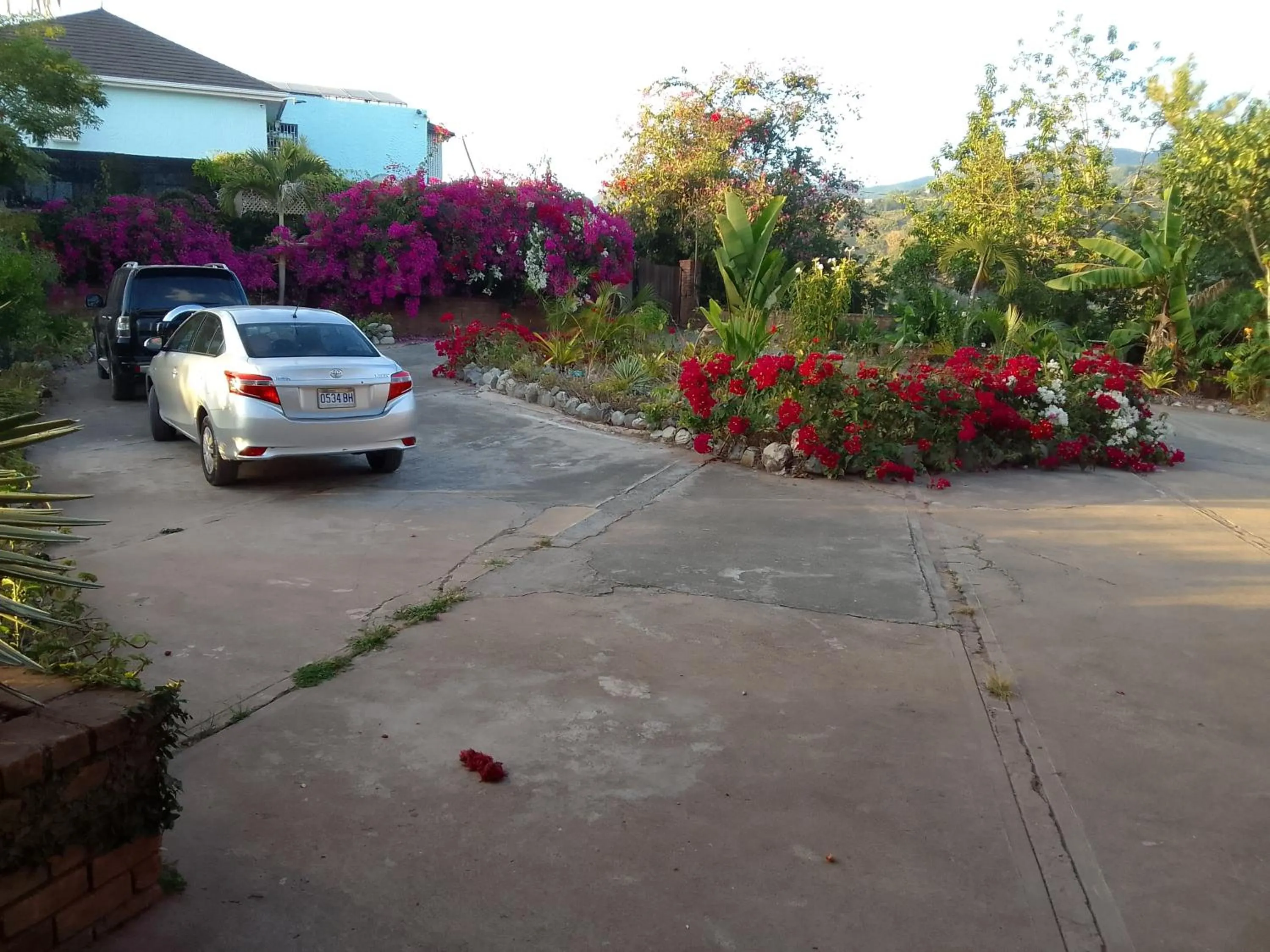 Garden in Tranquility Estate