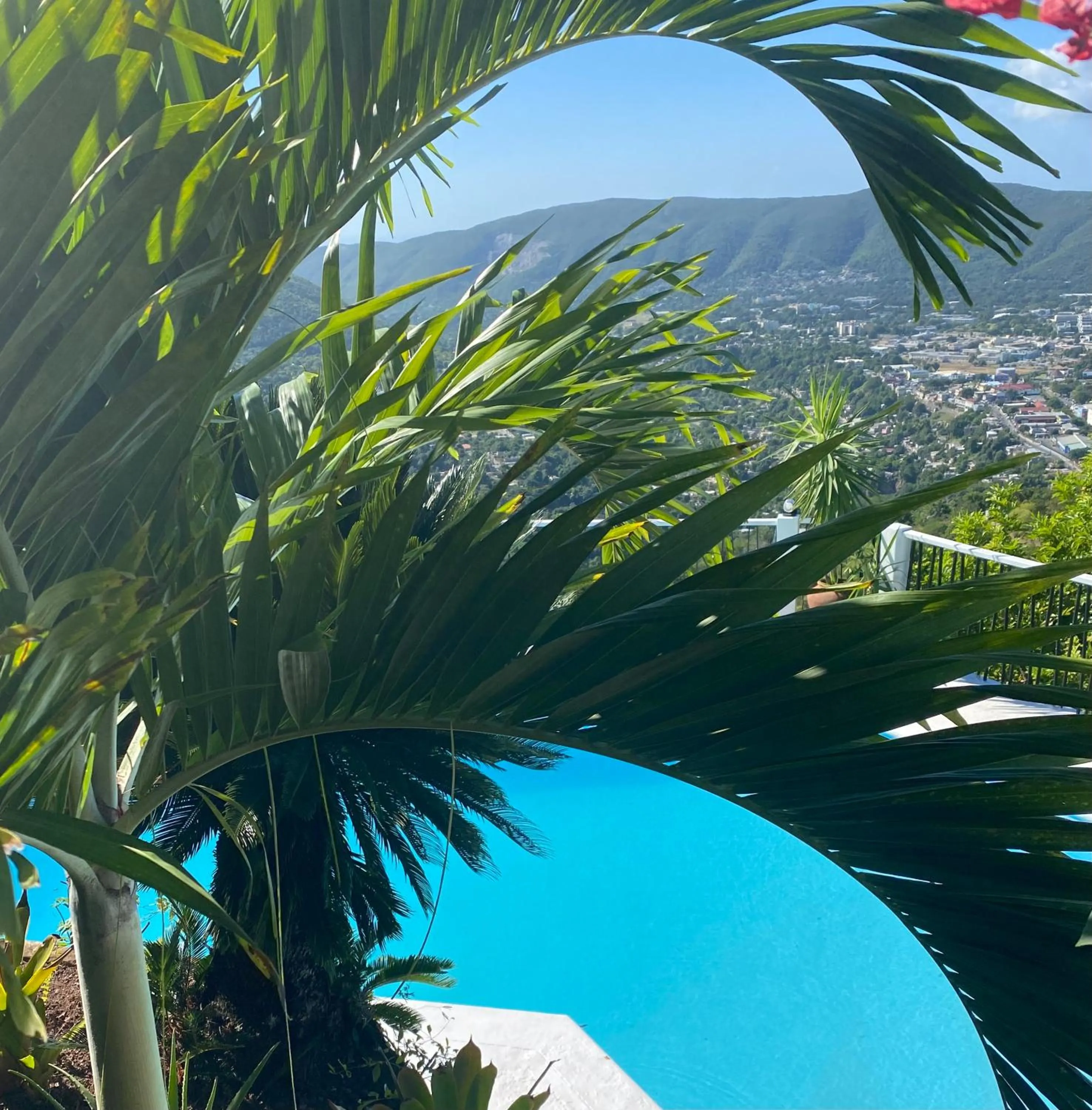 Day in Tranquility Estate