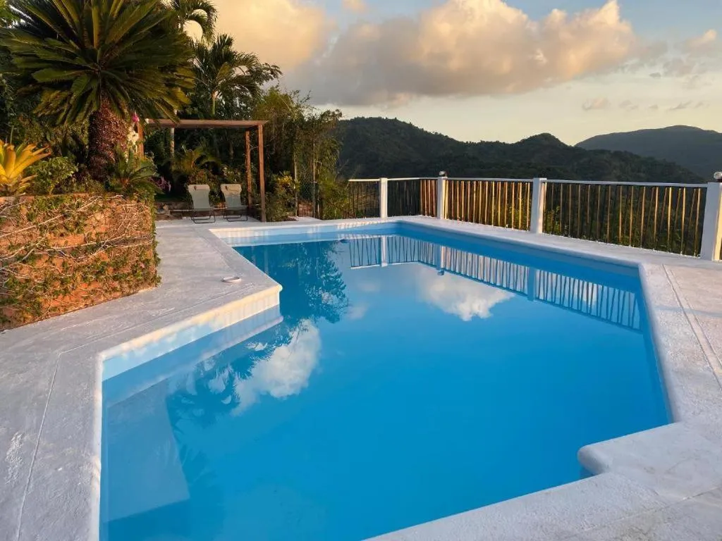 Day in Tranquility Estate