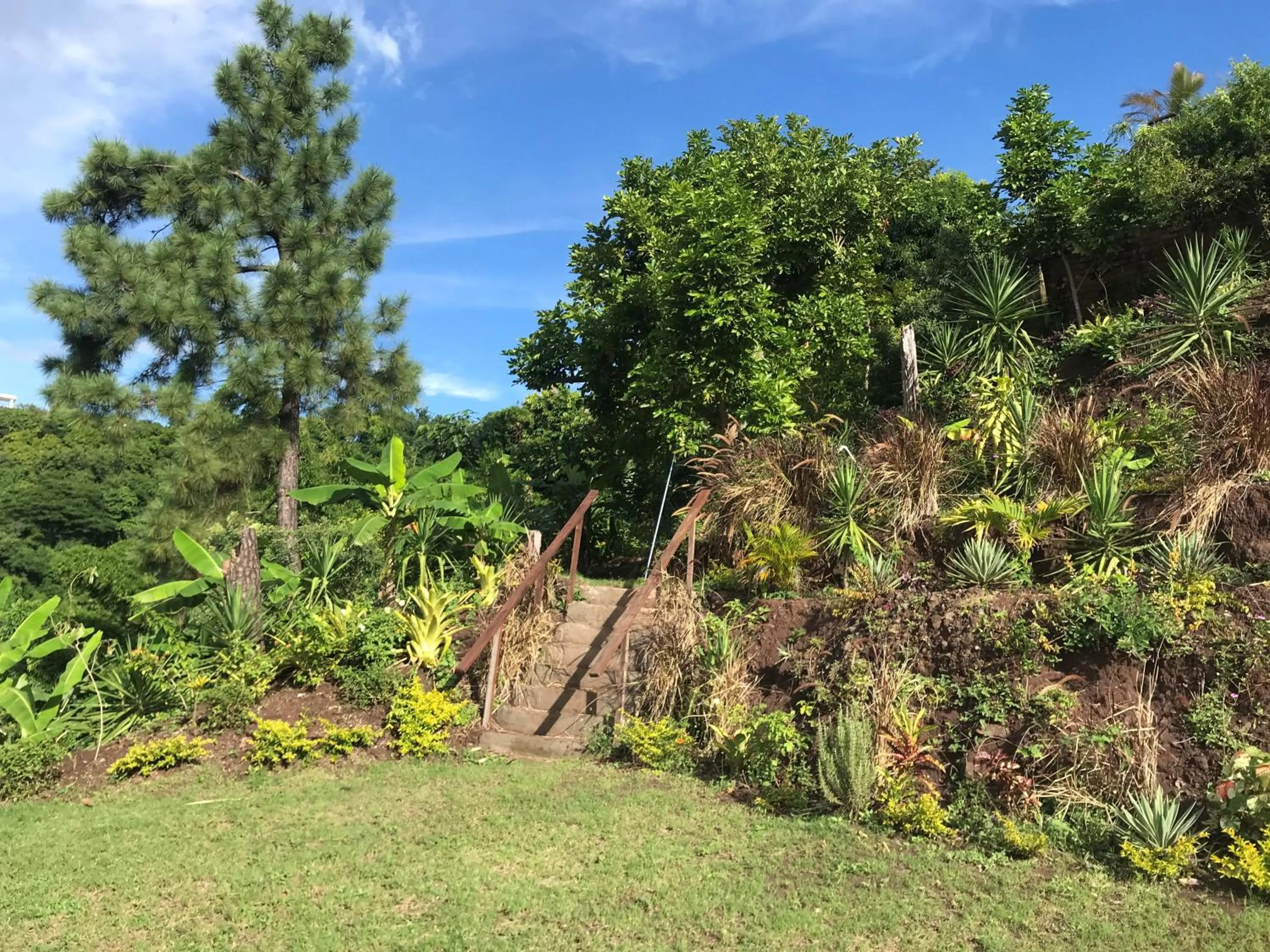 Day in Tranquility Estate