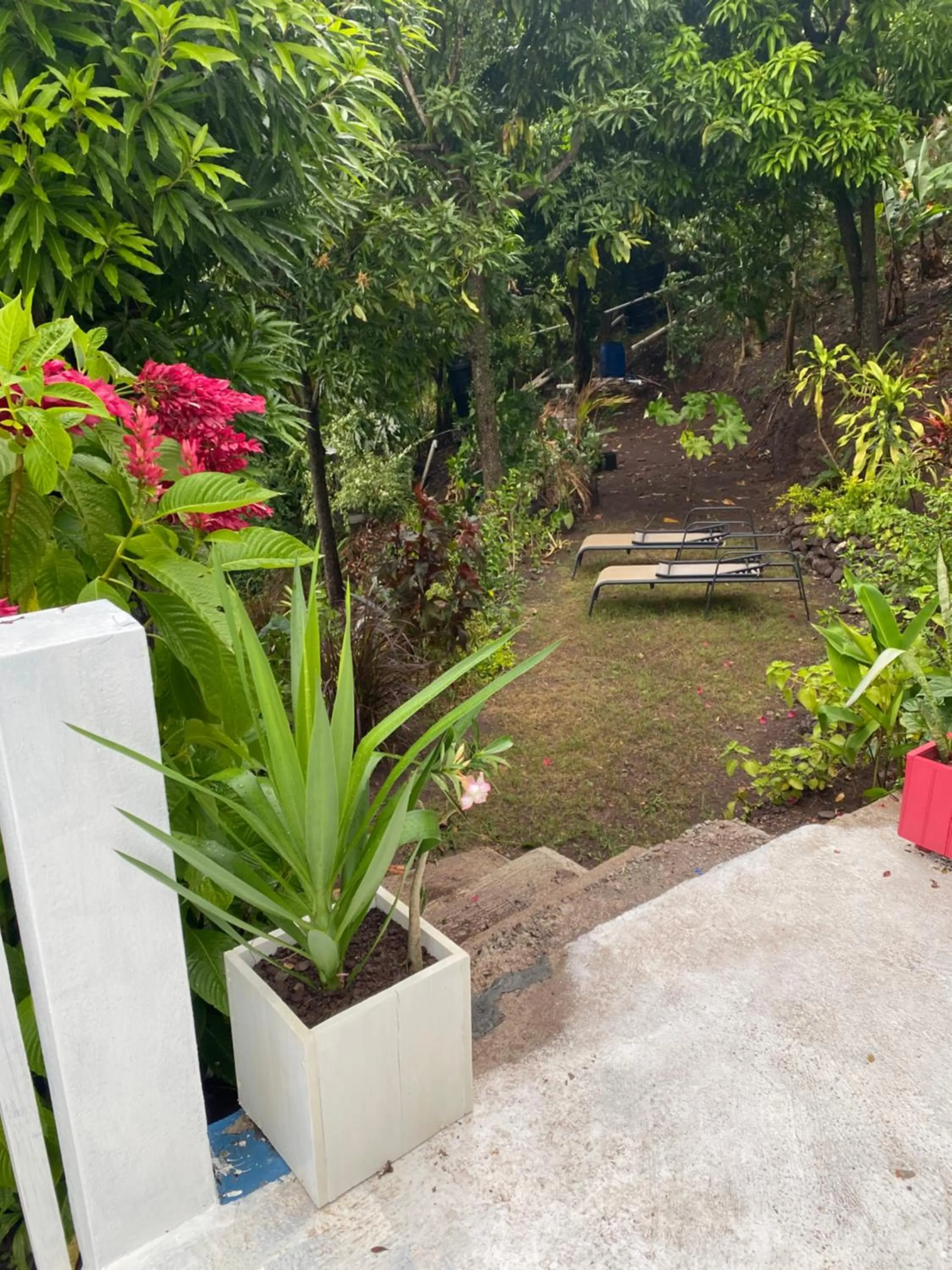 Spring in Tranquility Estate