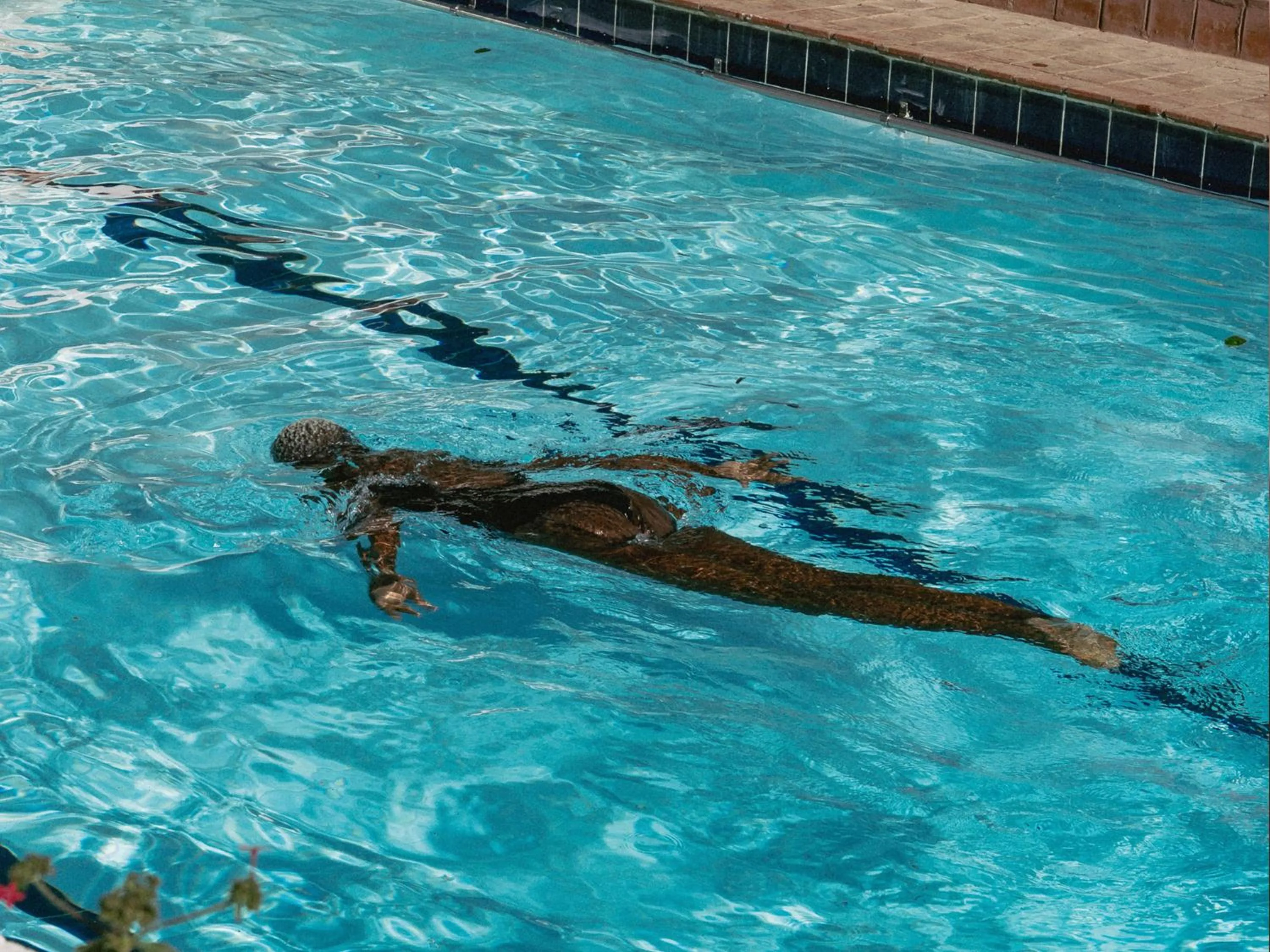 Swimming pool in Céline & Lolo