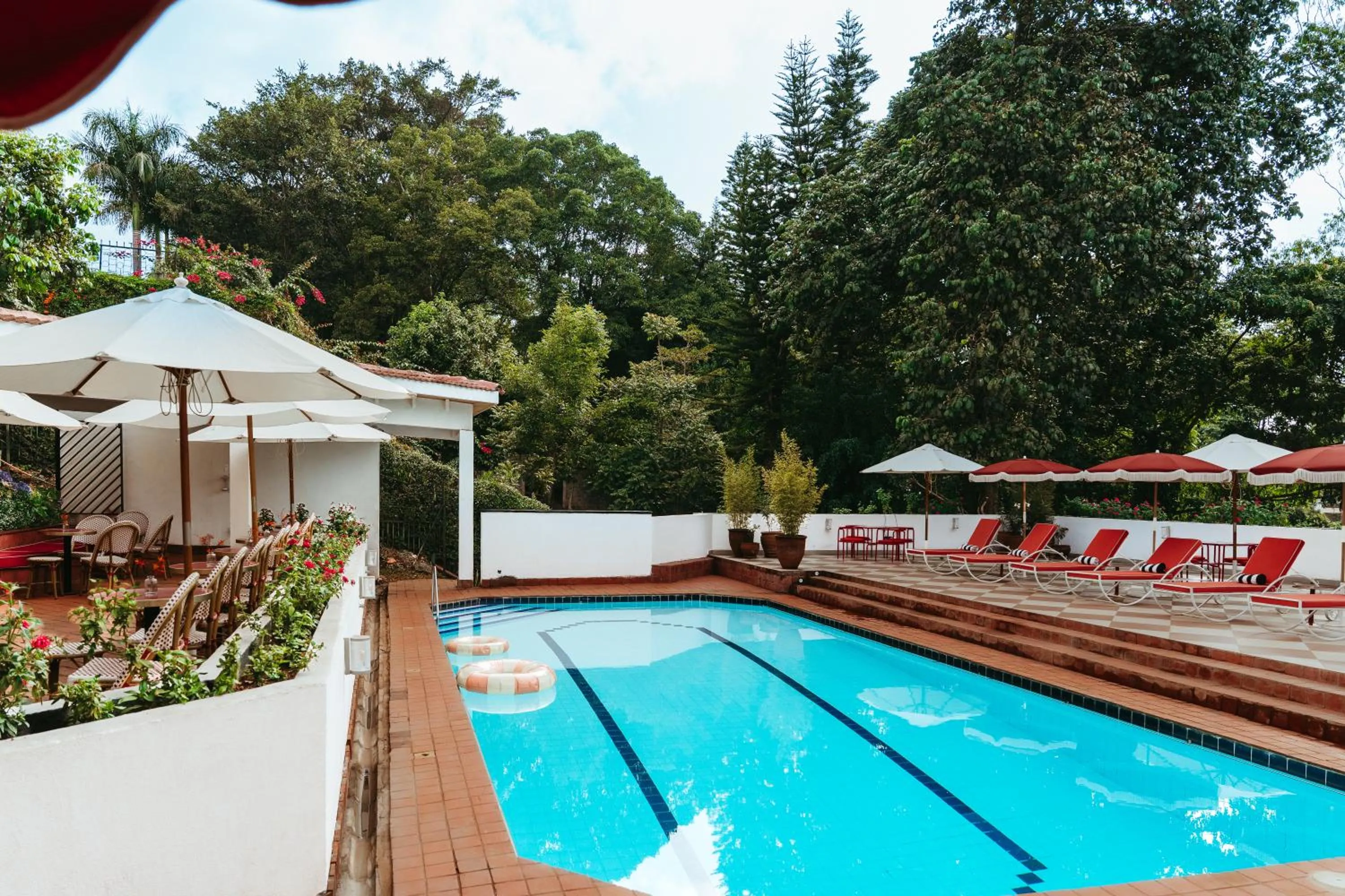 Pool view in Céline & Lolo