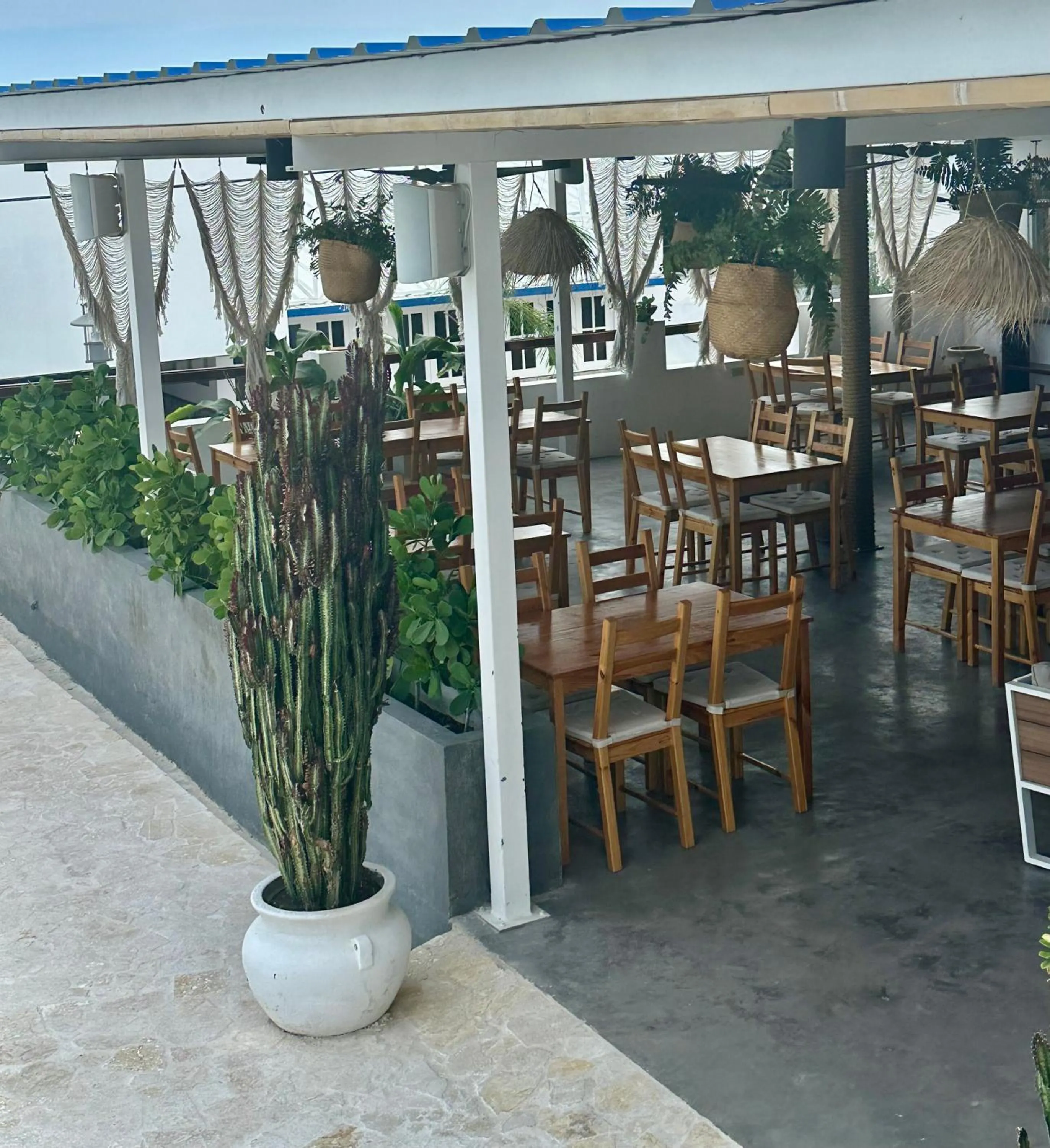 Restaurant/places to eat in Parguera Plaza Hotel - Adults Only