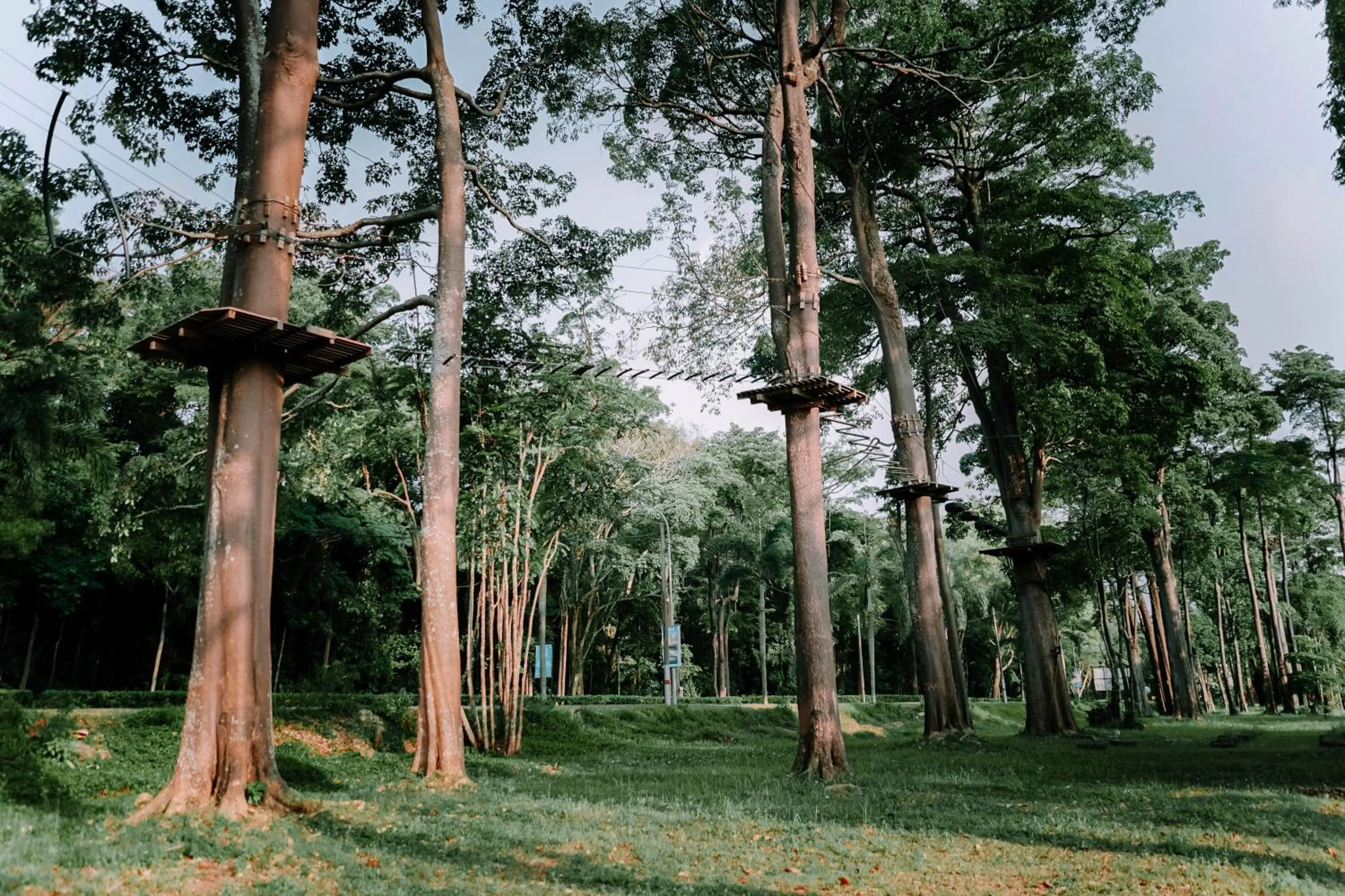 Animals in Tunamaya Beach & Spa Resort- Desaru