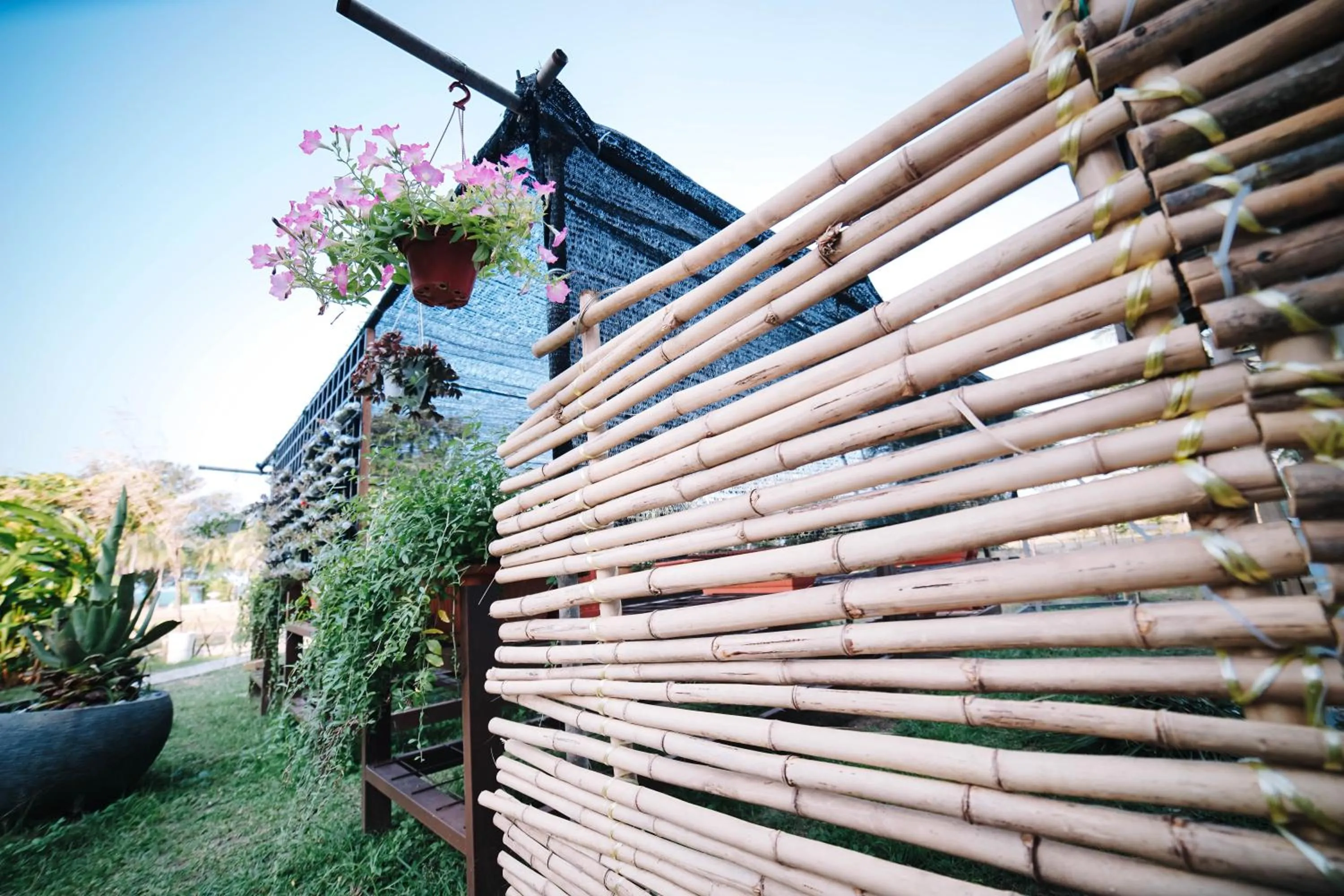 Garden in Tunamaya Beach & Spa Resort- Desaru