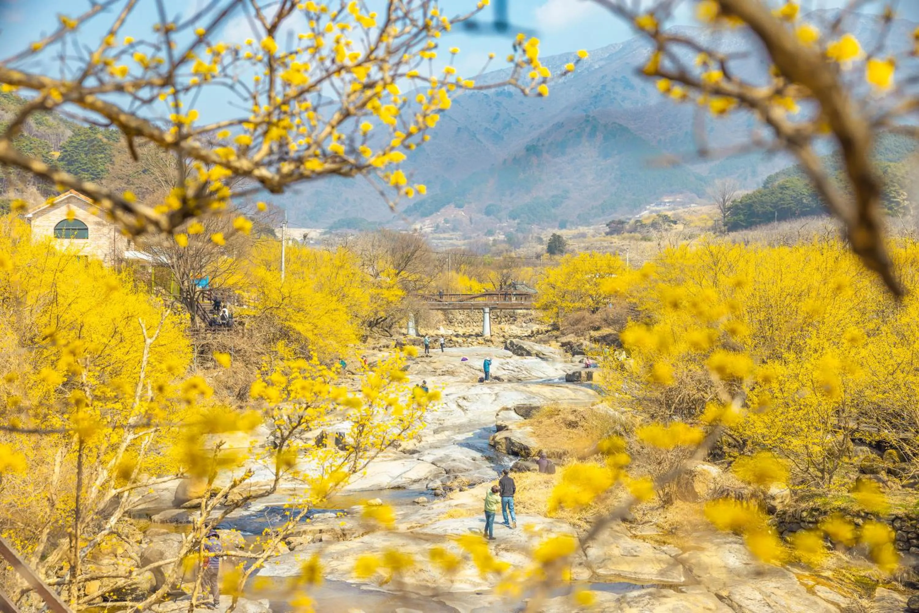 Activities in KensingtonResort JirisanNamwon