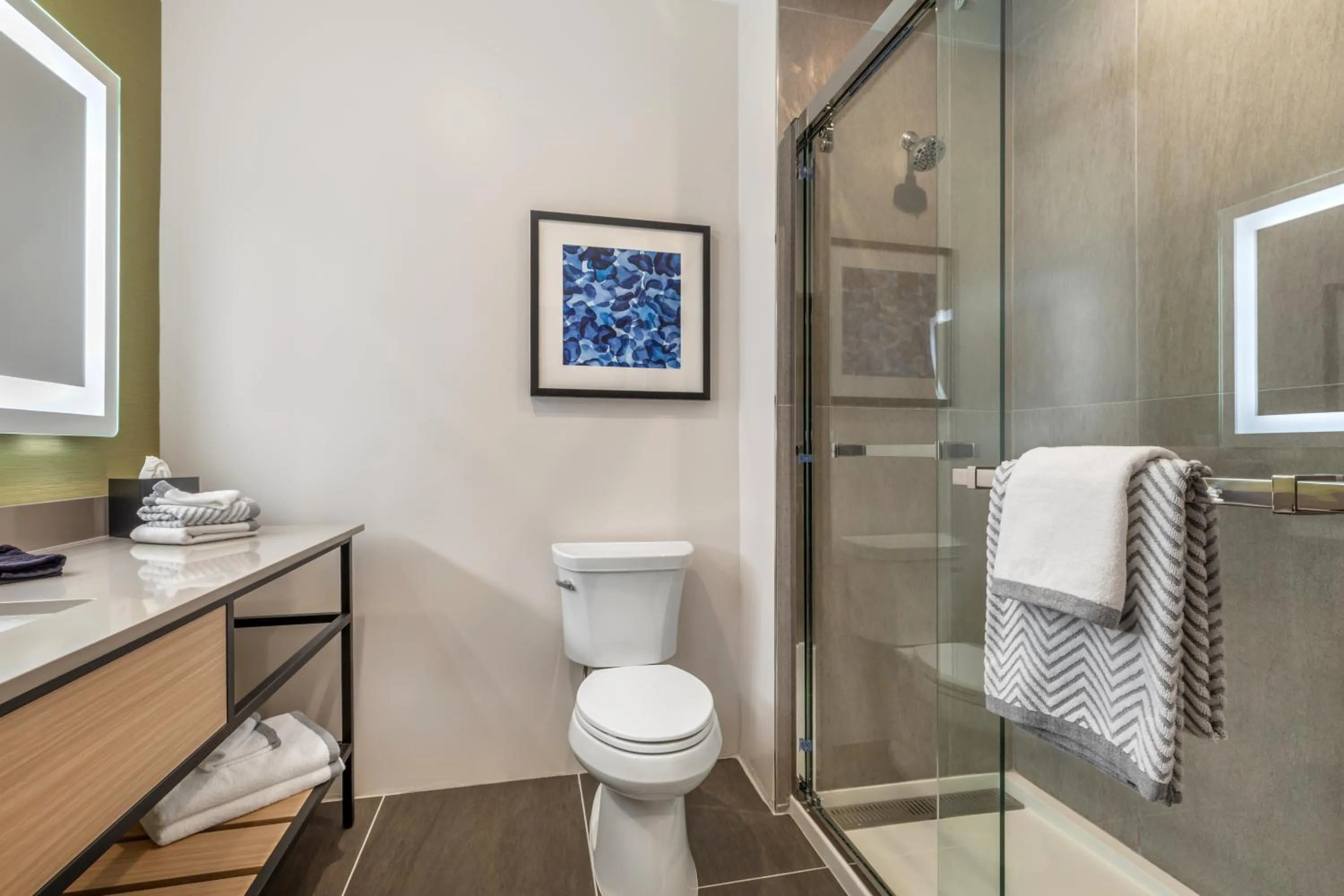 Cambria Hotel Euless - DFW Airport South