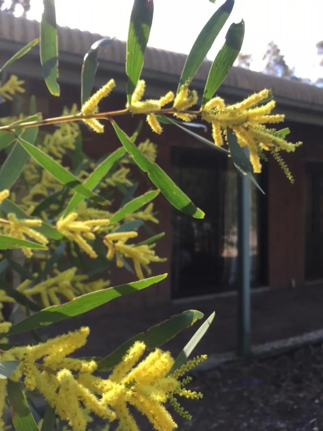 Three-Bedroom Apartment - with kitchen stove in Hunter Valley Retreat Three-Bedroom Apartment - with kitchen stove in Hunter Valley Retreat