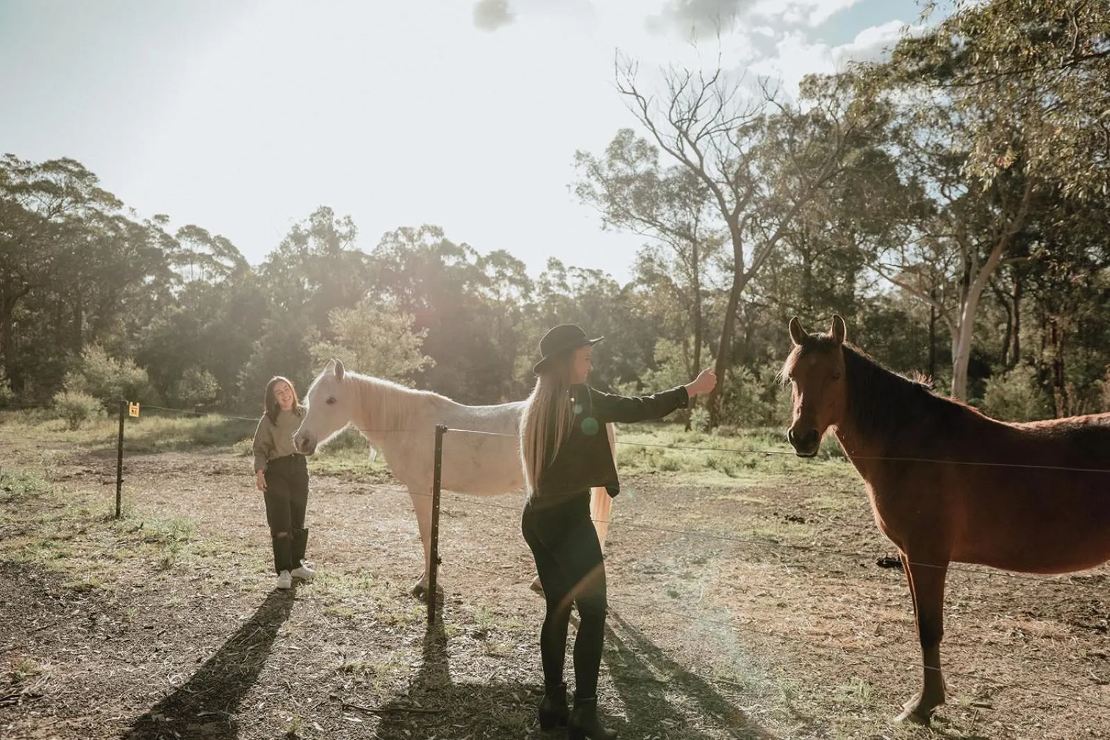 Animals in Hunter Valley Retreat