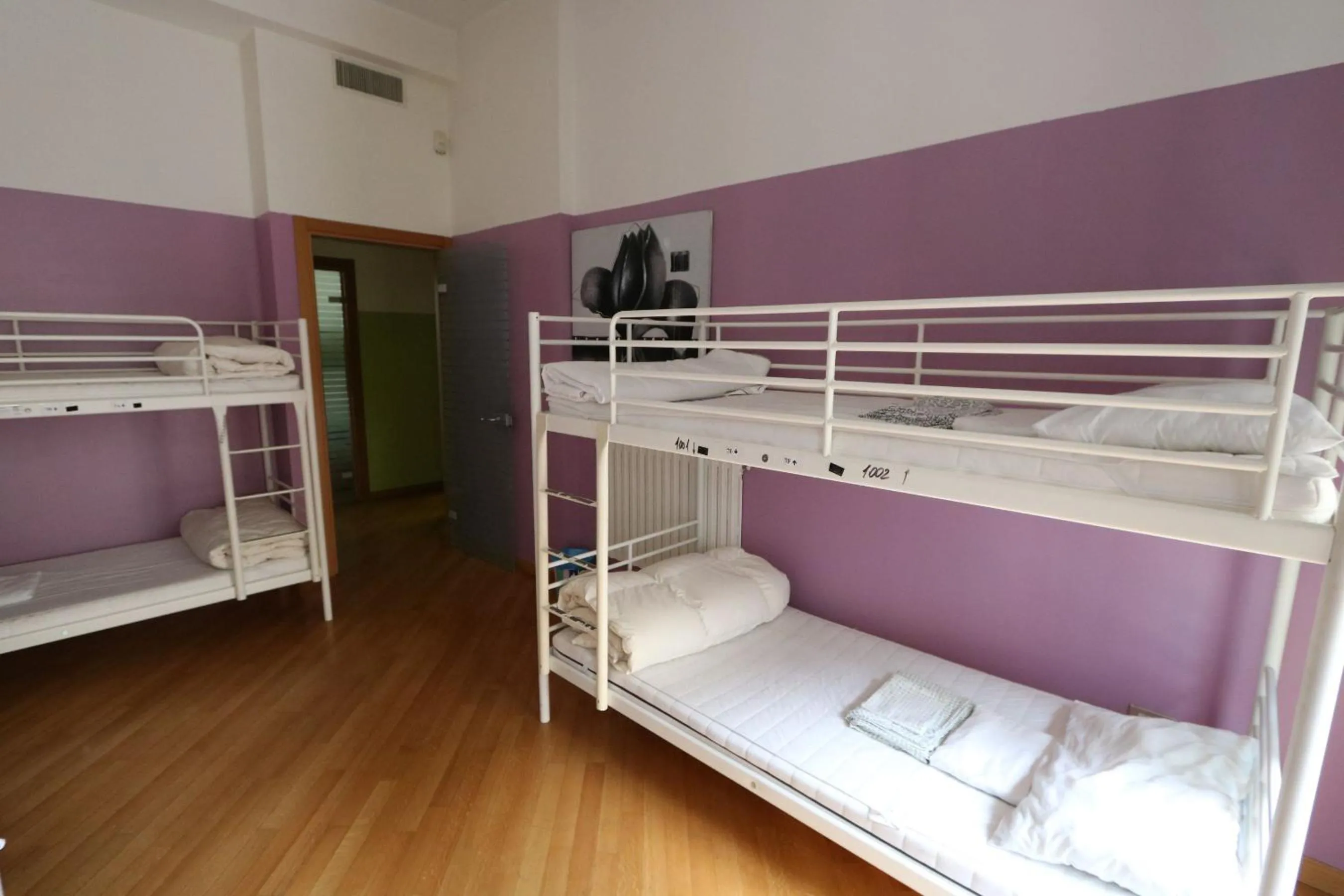 bunk bed, Bed in Panda Hostel
