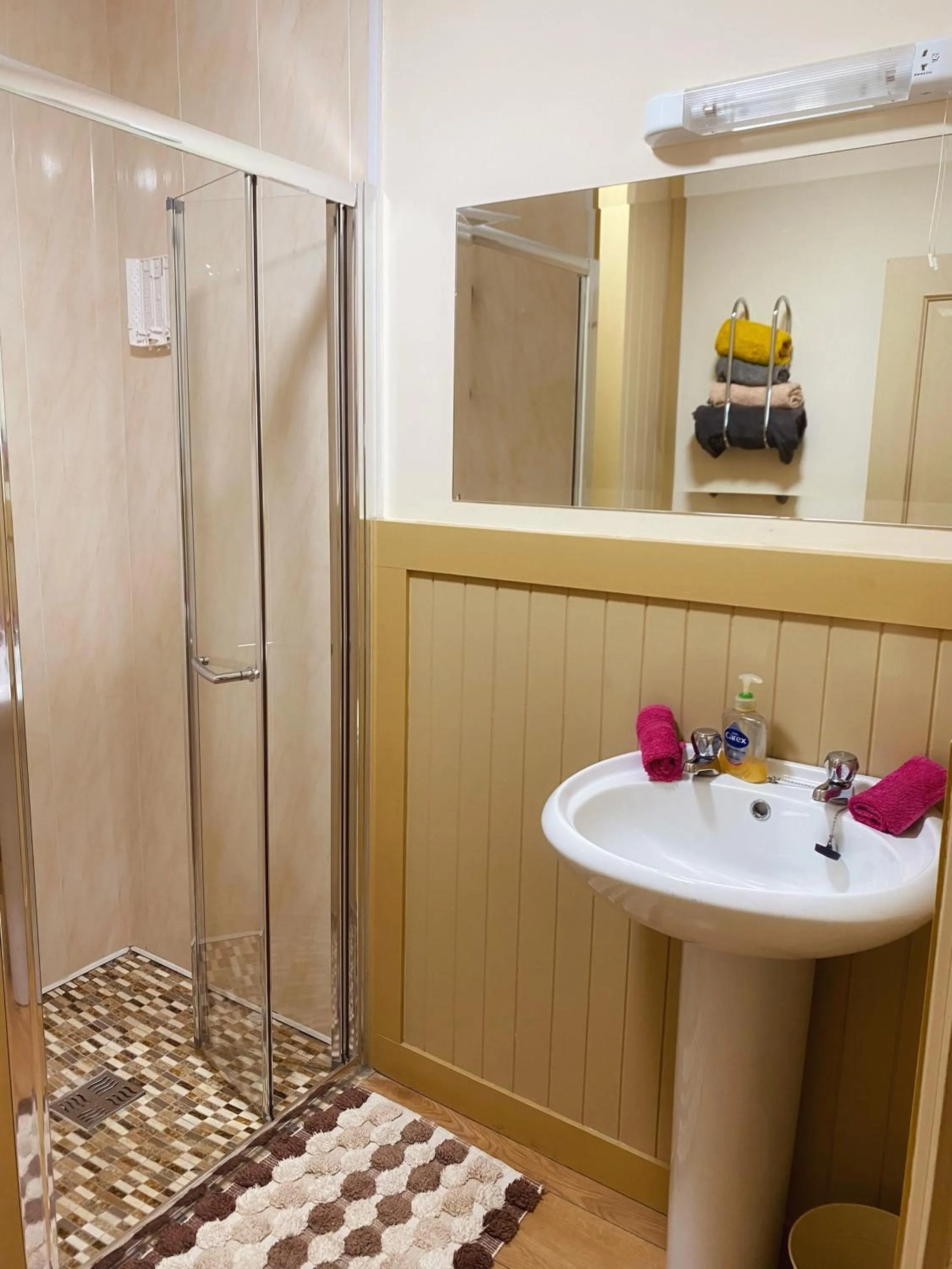 Shower in Dulrush Lodge Guest House, Restaurant and Self-Catering