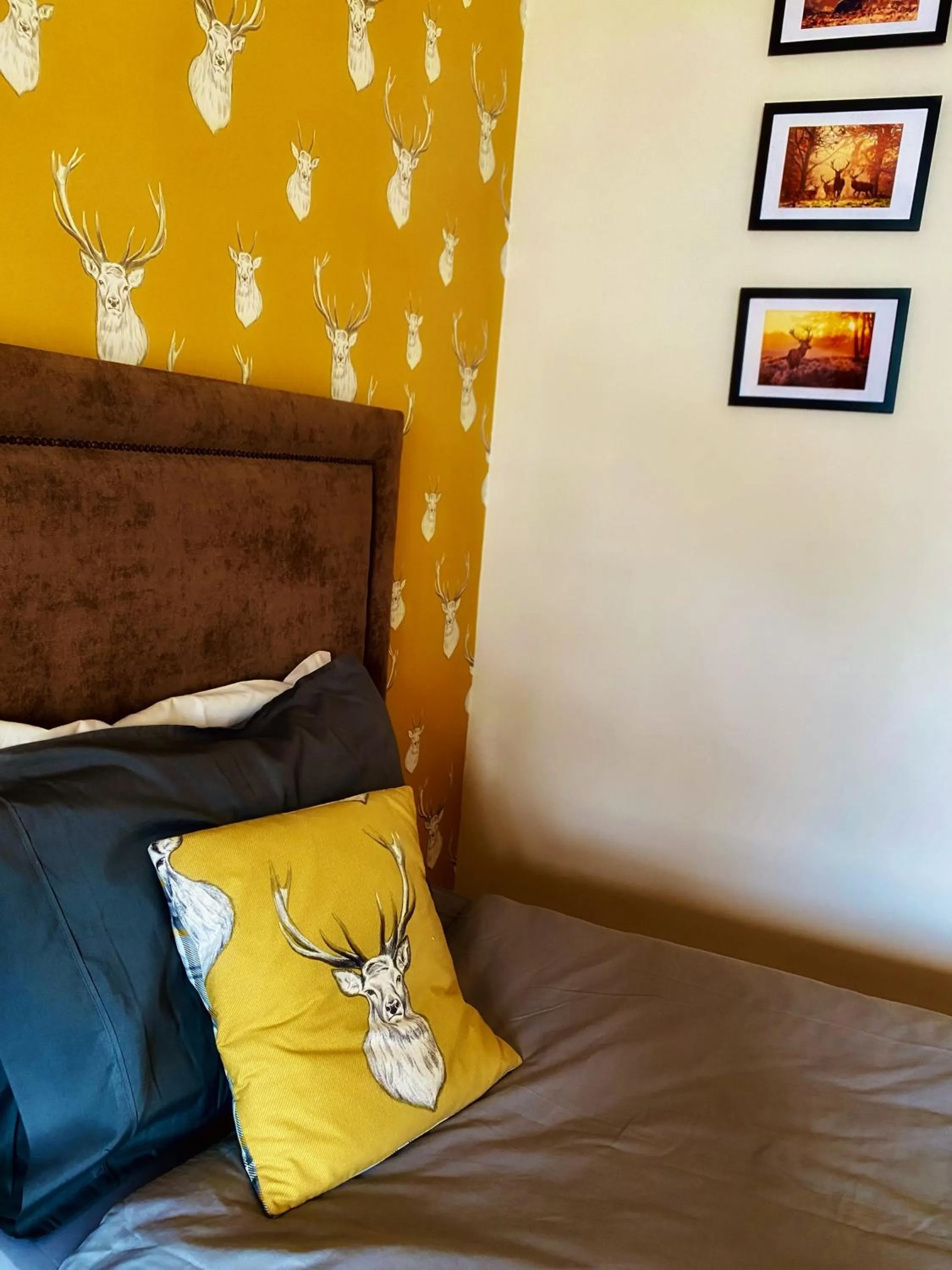 Bed in Dulrush Lodge Guest House, Restaurant and Self-Catering