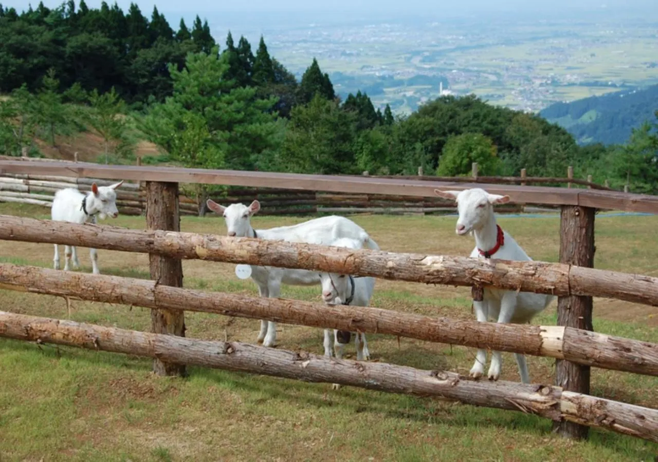 Animals in Aomori Winery Hotel
