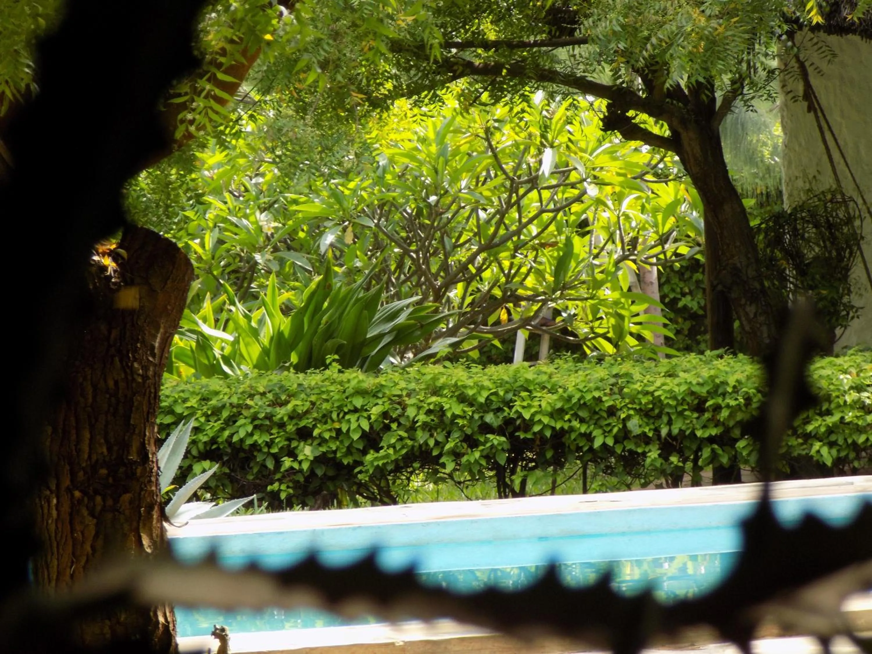 Garden in Eco Villas Watamu