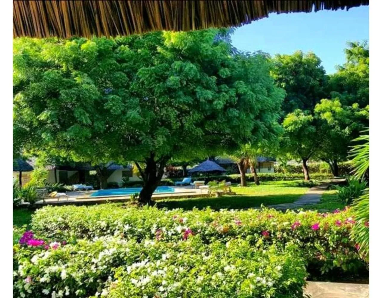 View (from property/room) in Eco Villas Watamu