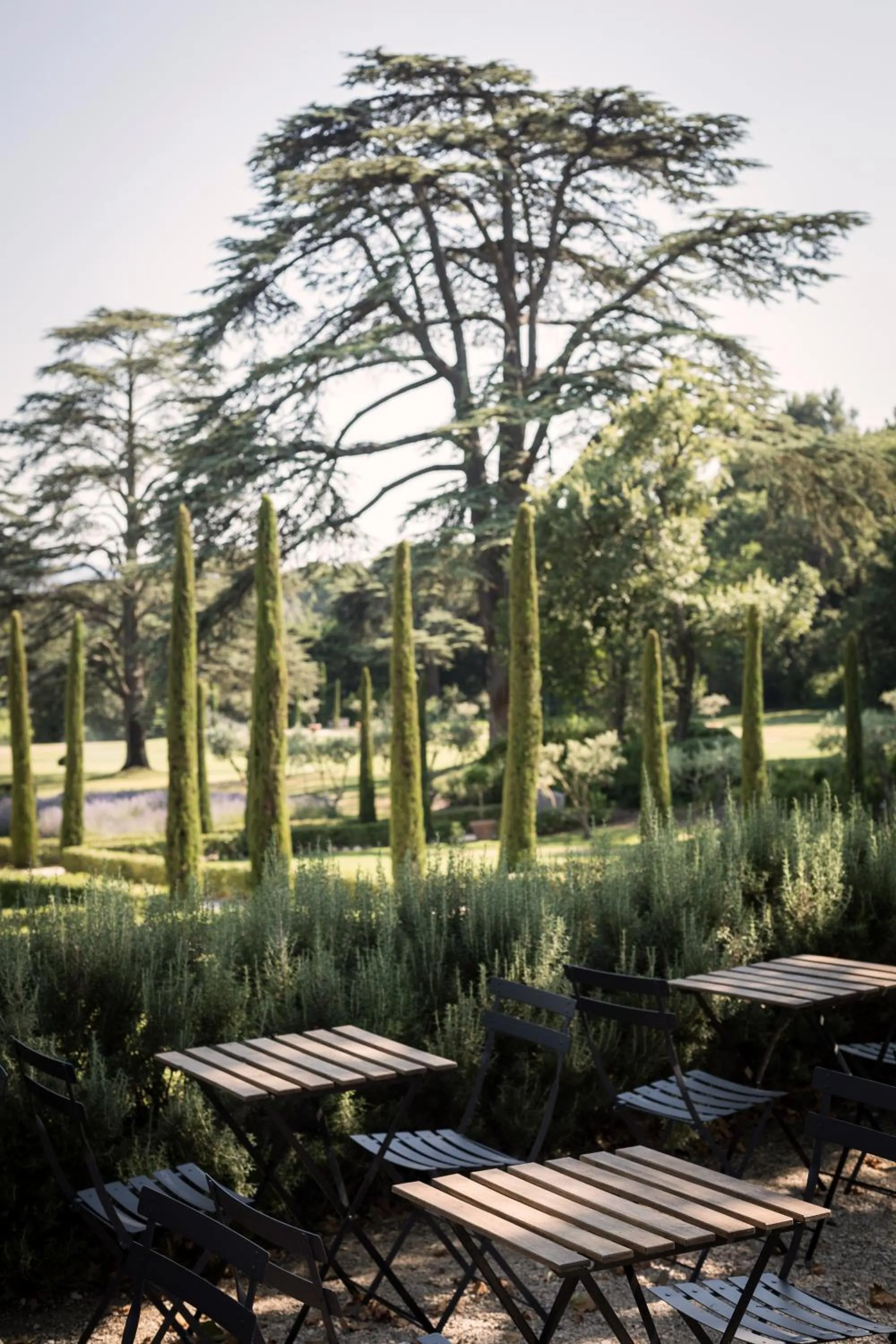 Garden view in Domaine de Fontenille