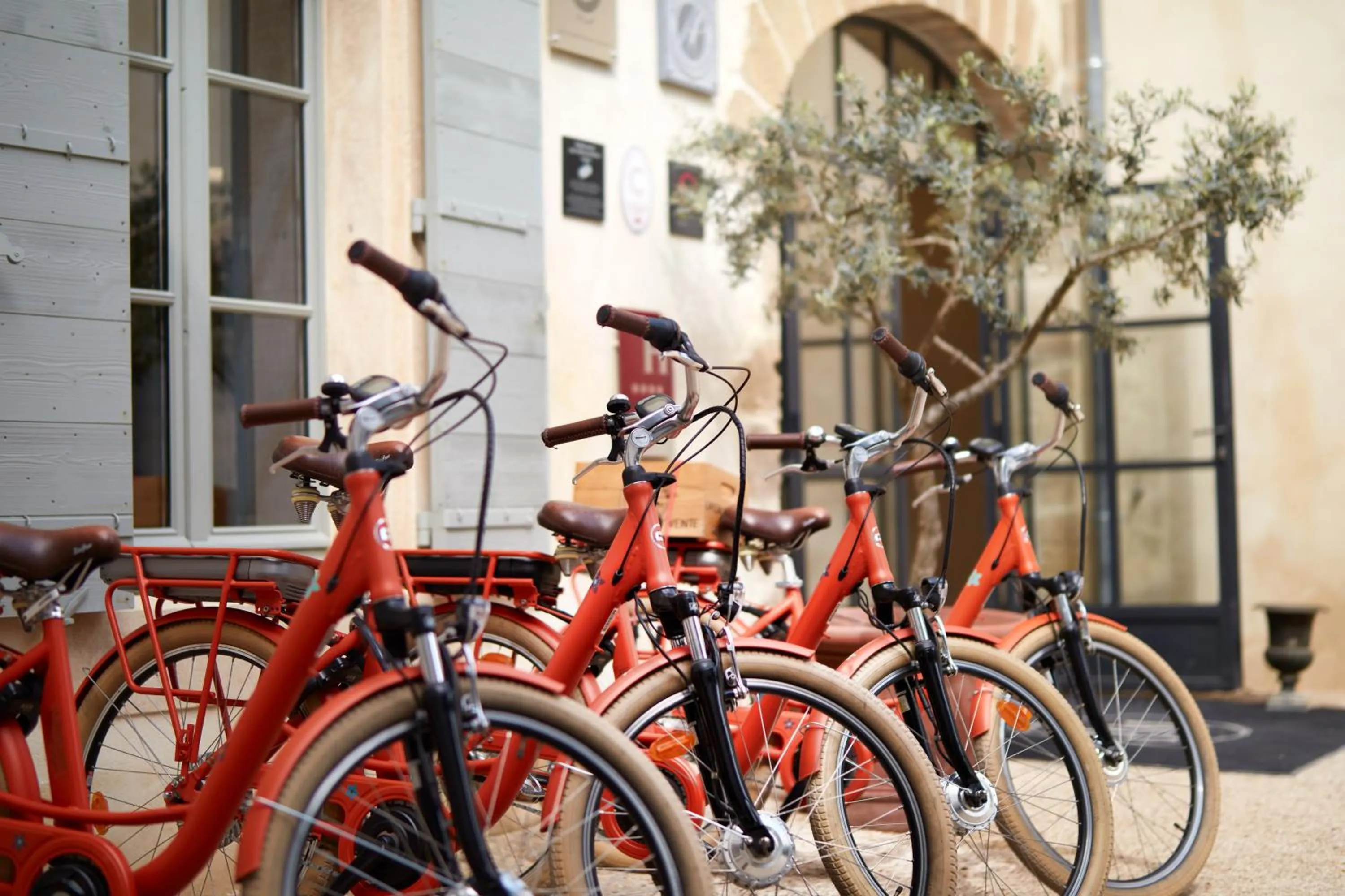 Entertainment in Domaine de Fontenille