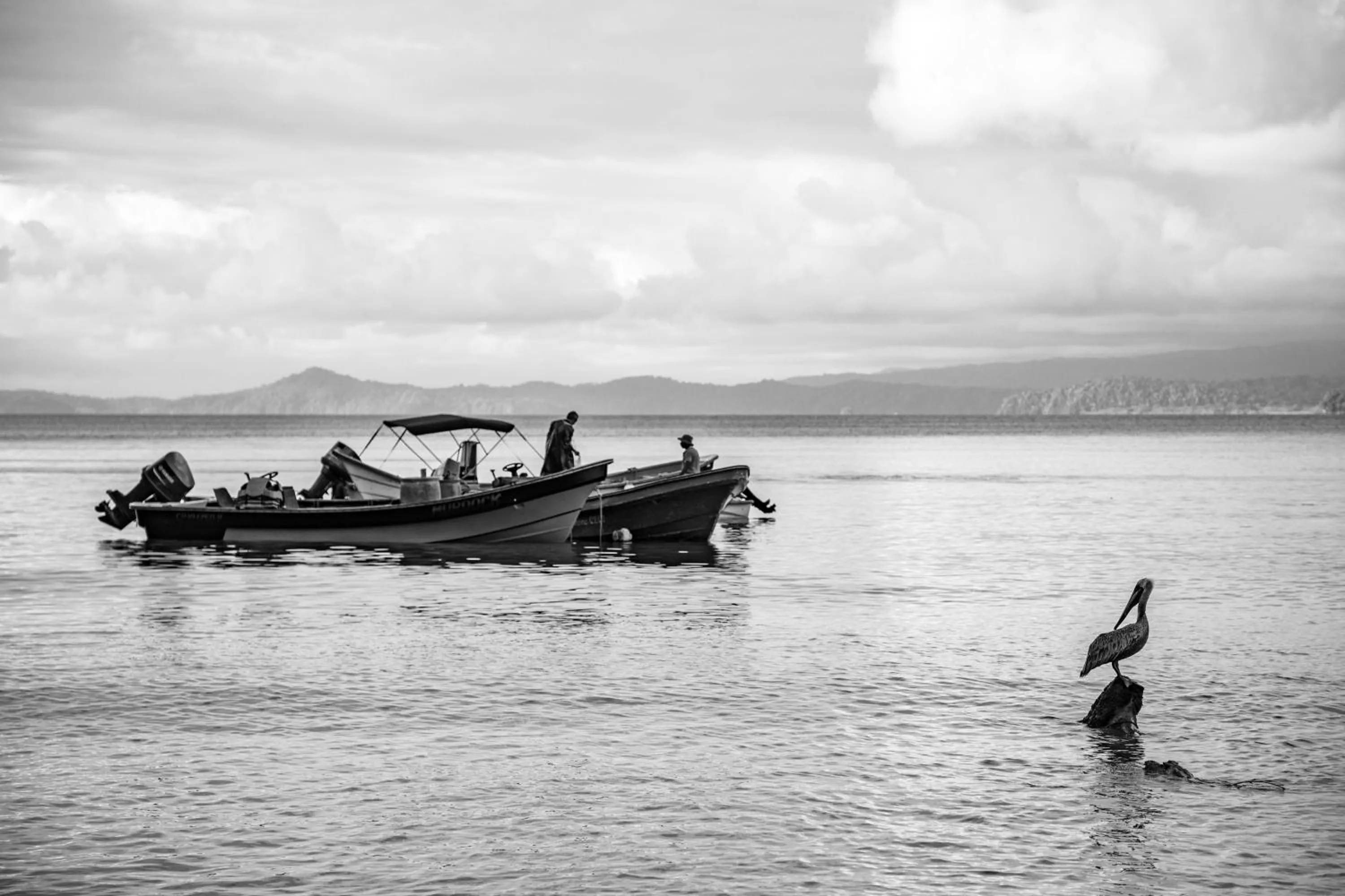 Natural landscape in Hotel Costa Choco