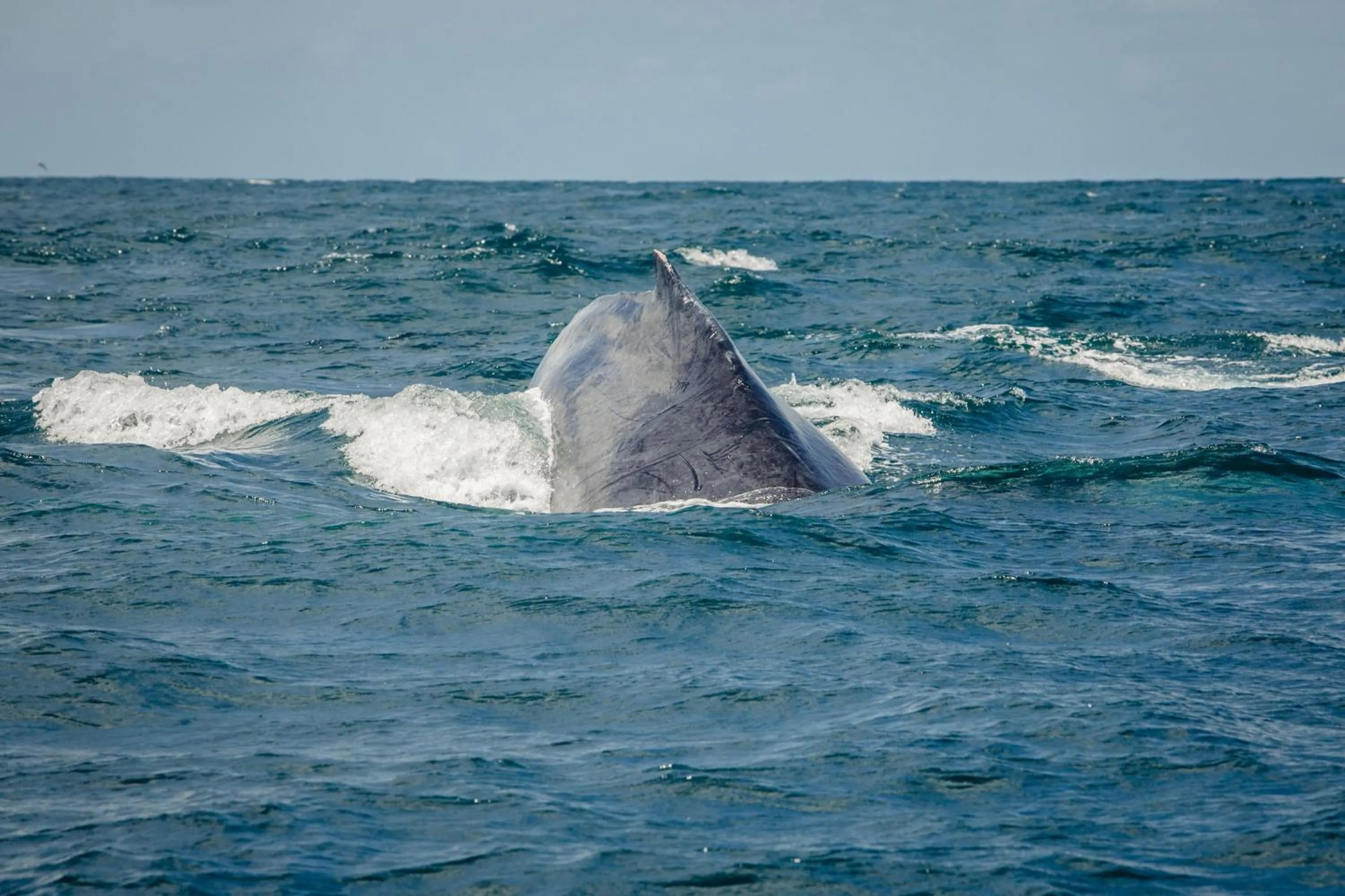 Activities in Hotel Costa Choco