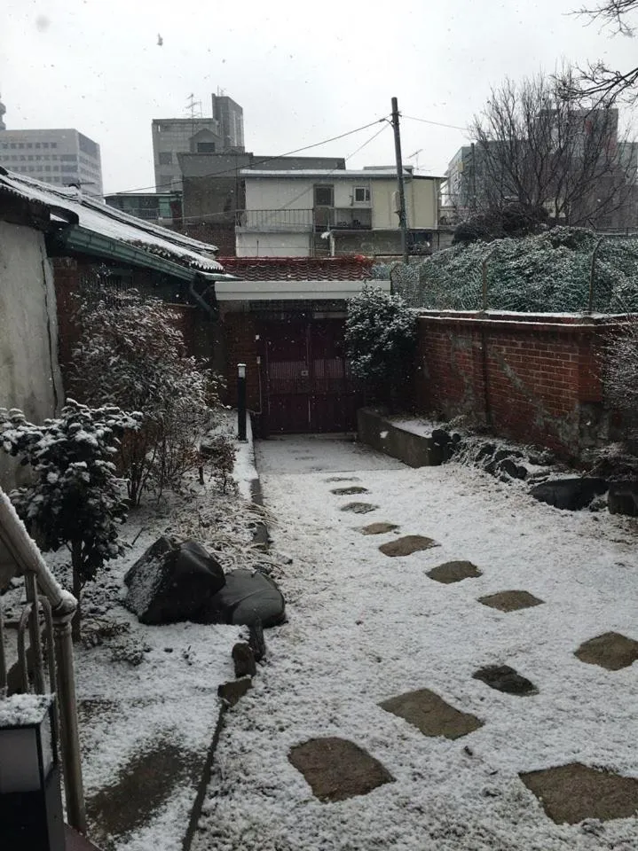 Garden in Hans House