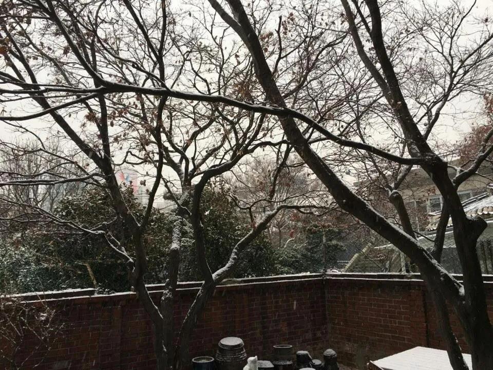 Garden in Hans House