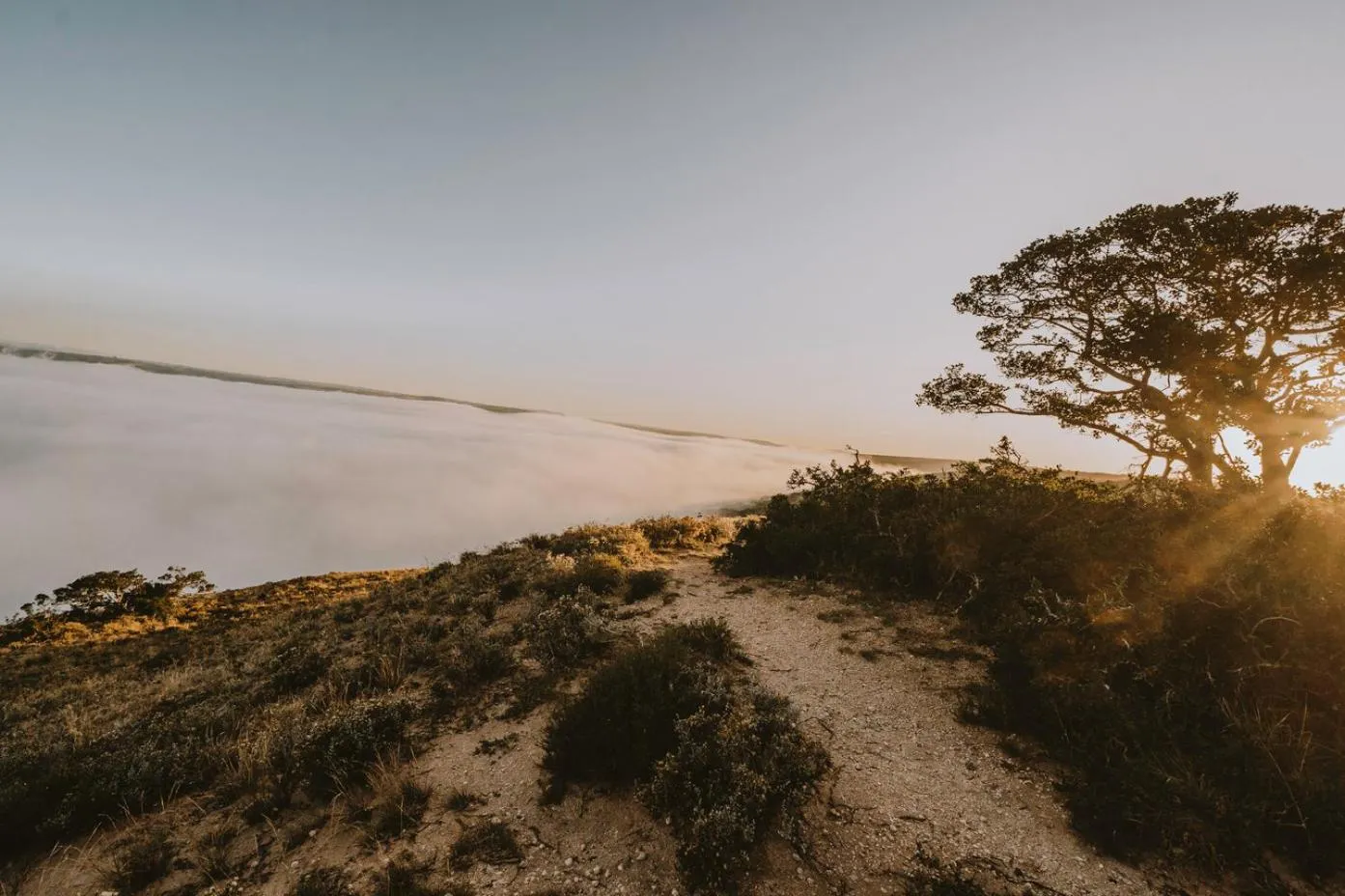 Day in Bukela Game Lodge - Amakhala Game Reserve